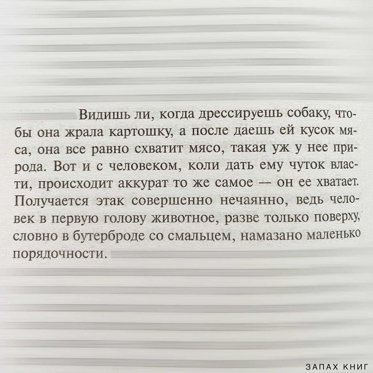 На Западном фронте без перемен - Цитаты, Картинка с текстом, Философия, Власть