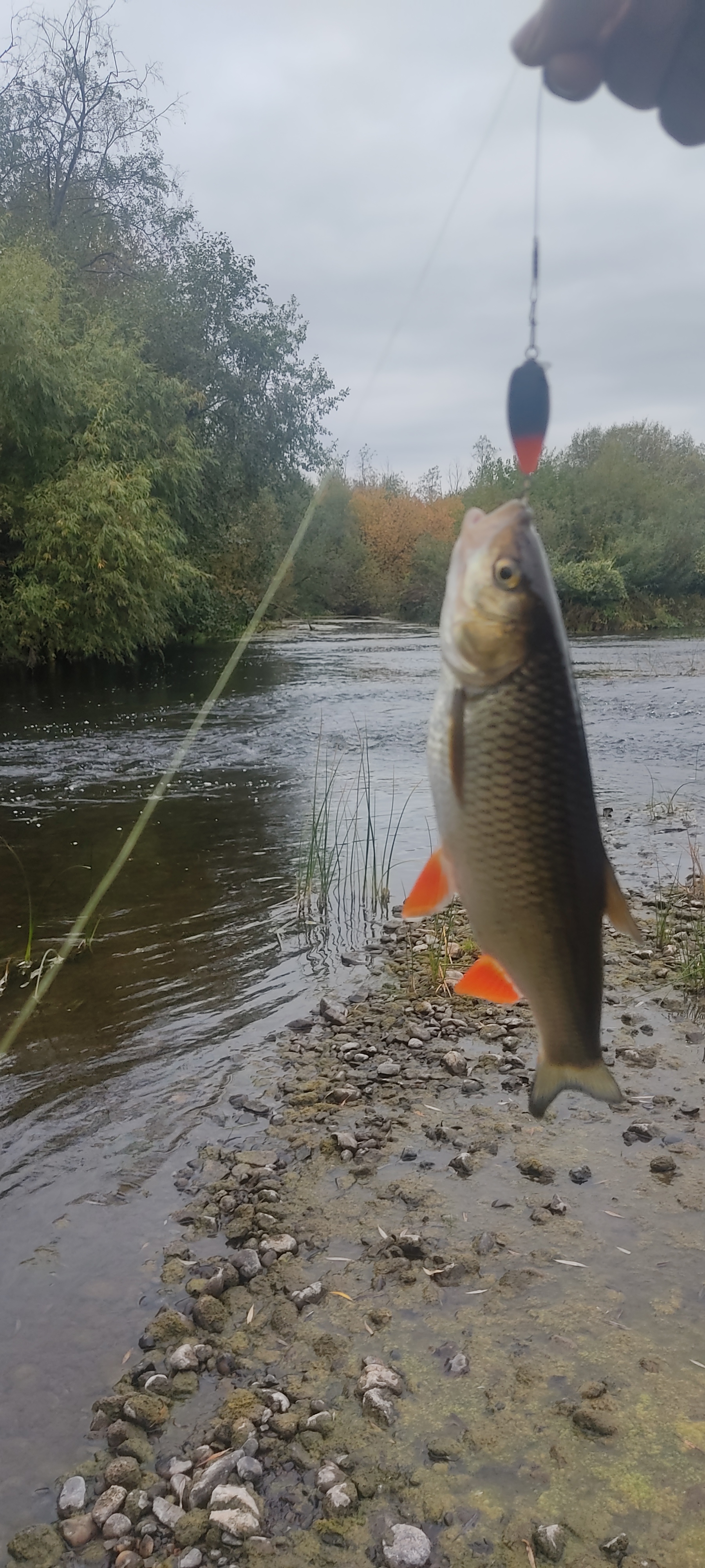 October. Pike. Shut up - My, Mat, Fishing, Pike, The photo, Longpost