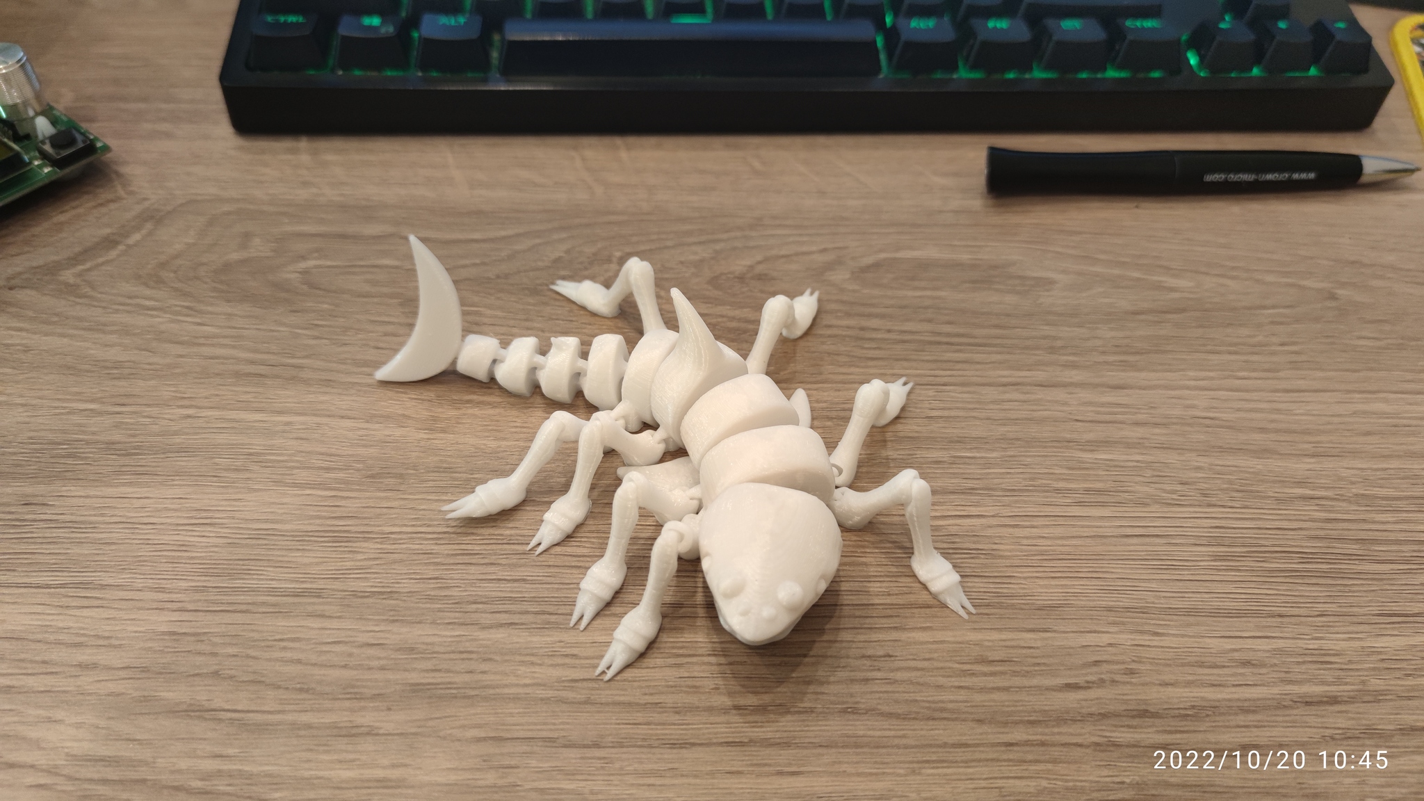 Spider shark (paukoculum, akupuq) - My, 3D печать, 3D, 3D modeling, Arachnophobia, Longpost