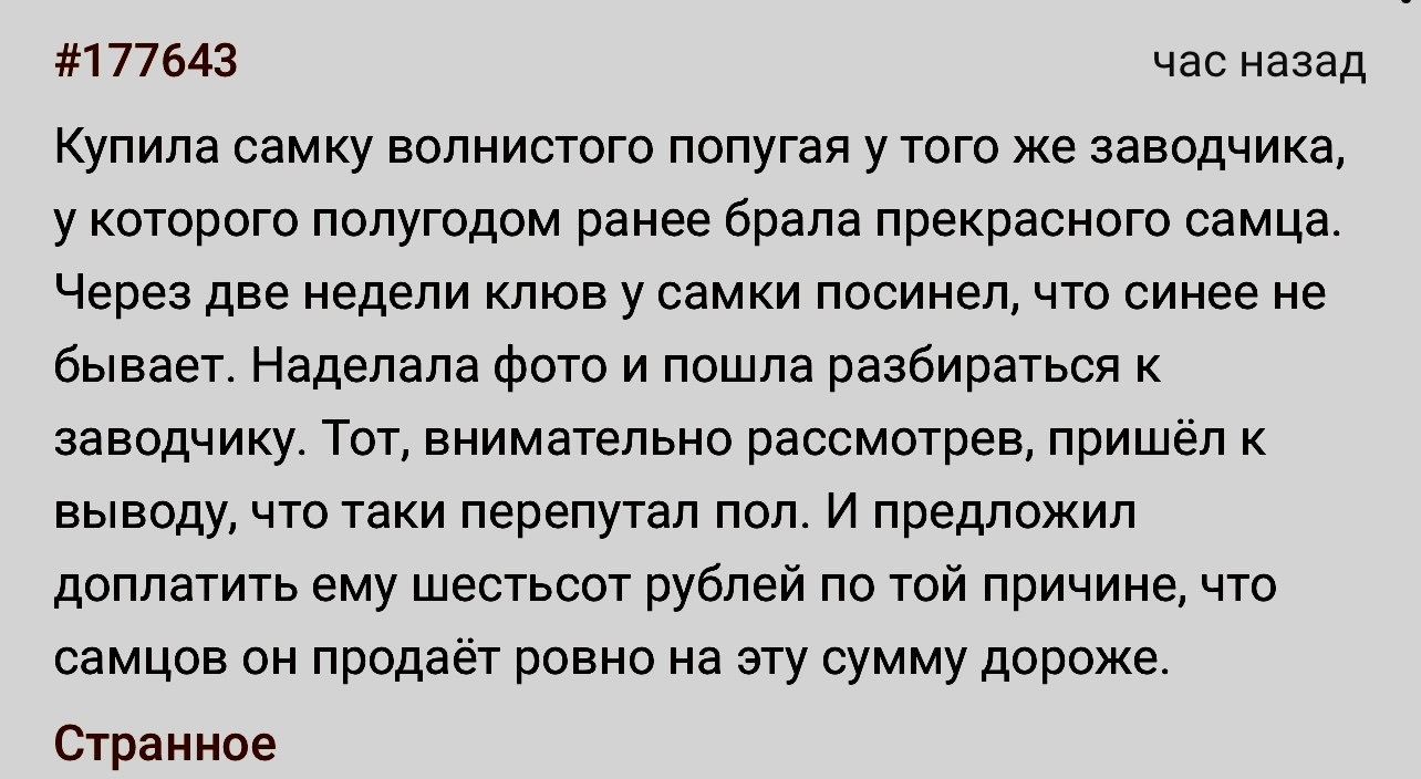 Отлично придумал - Скриншот, Подслушано