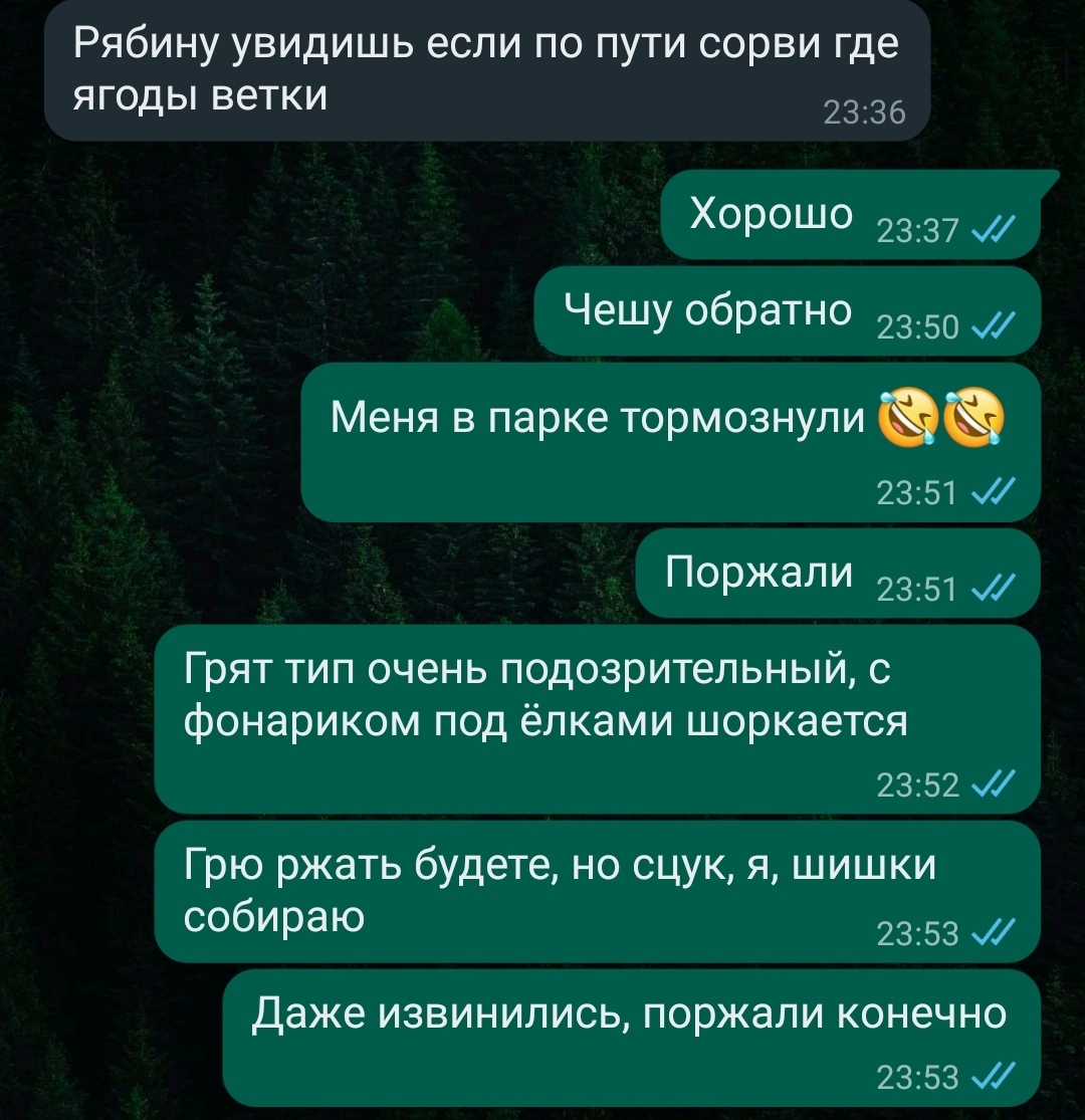 Чем вы занимаетесь по вечерам? - Моё, Рукоделие без процесса, Осенние листья, Школа, Длиннопост