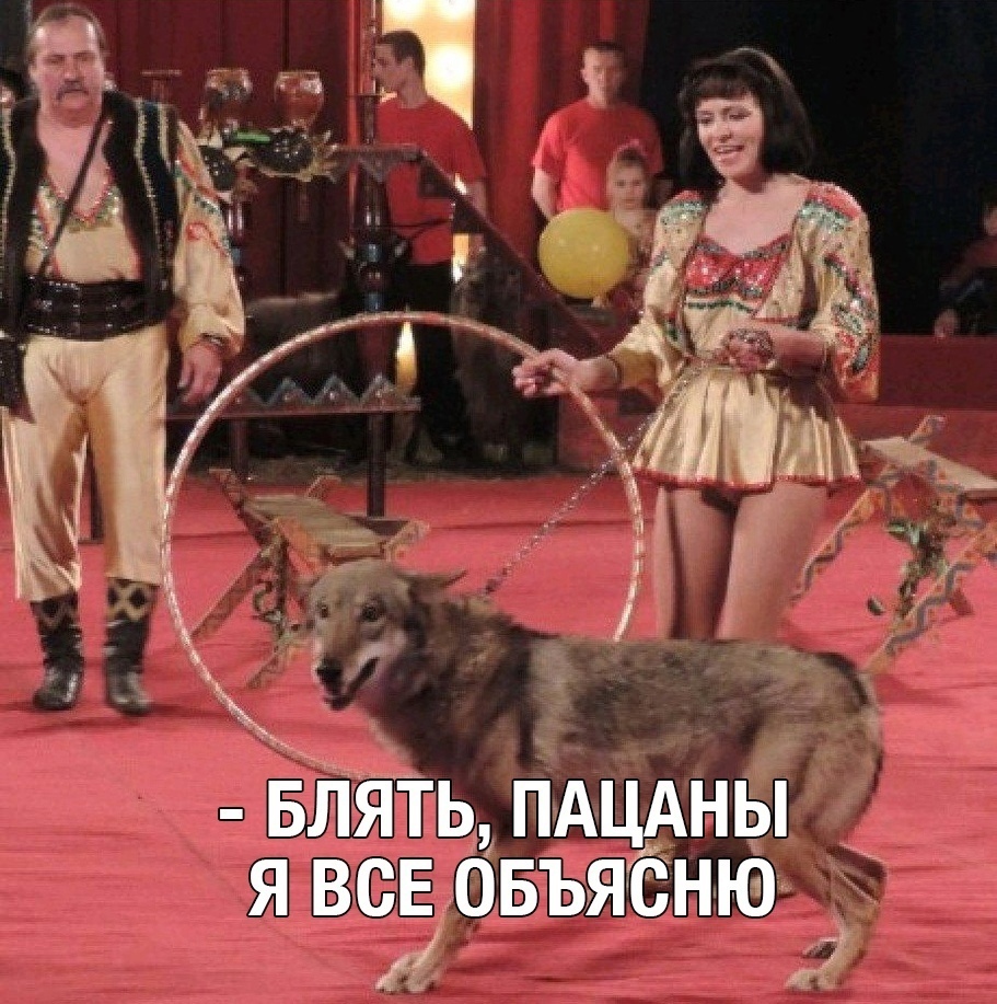 Volchara - Picture with text, Humor, Circus, Mat, Wolf, Repeat