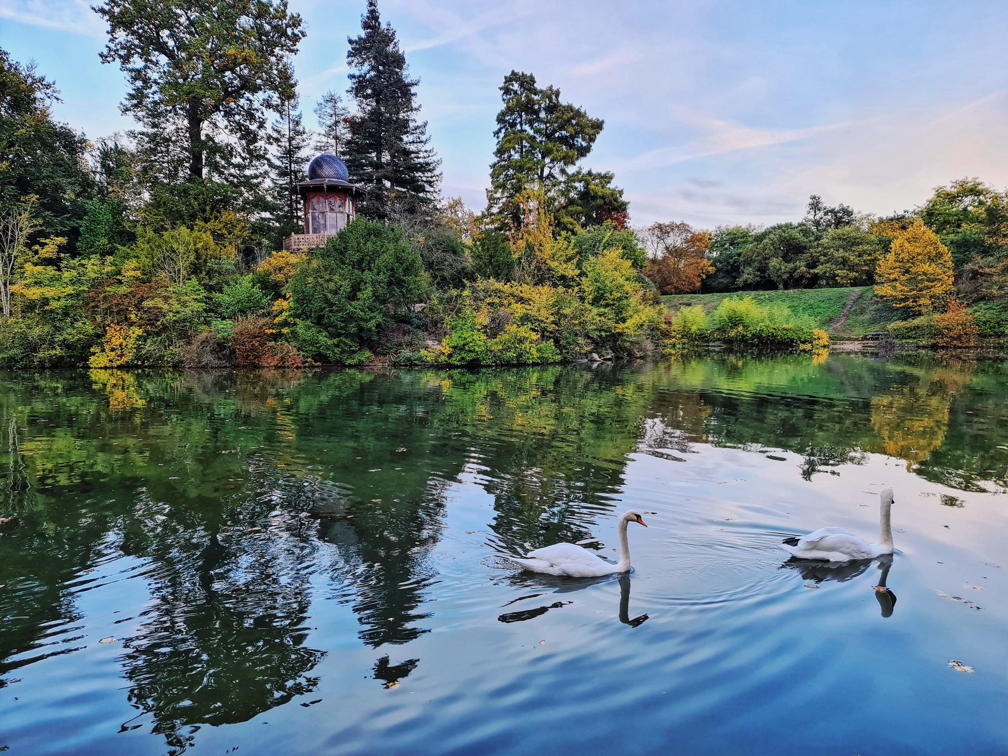 Bois de Boulogne in autumn - The photo, Mobile photography, Photo on sneaker, Paris, Nature, Longpost