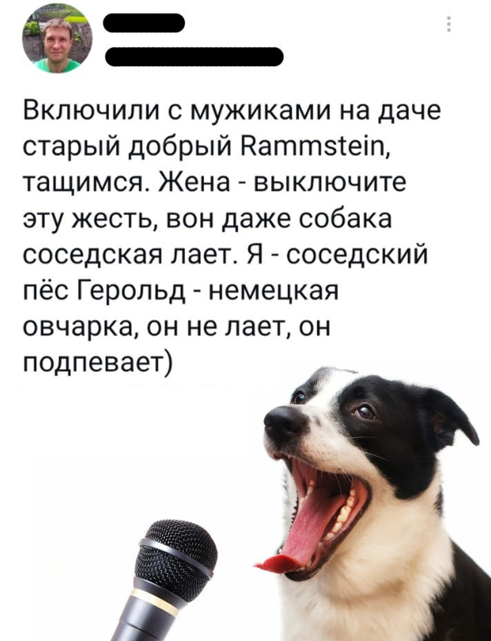 He sings along) - Humor, Memes, Picture with text, Dacha, Rammstein, Wife, Repeat