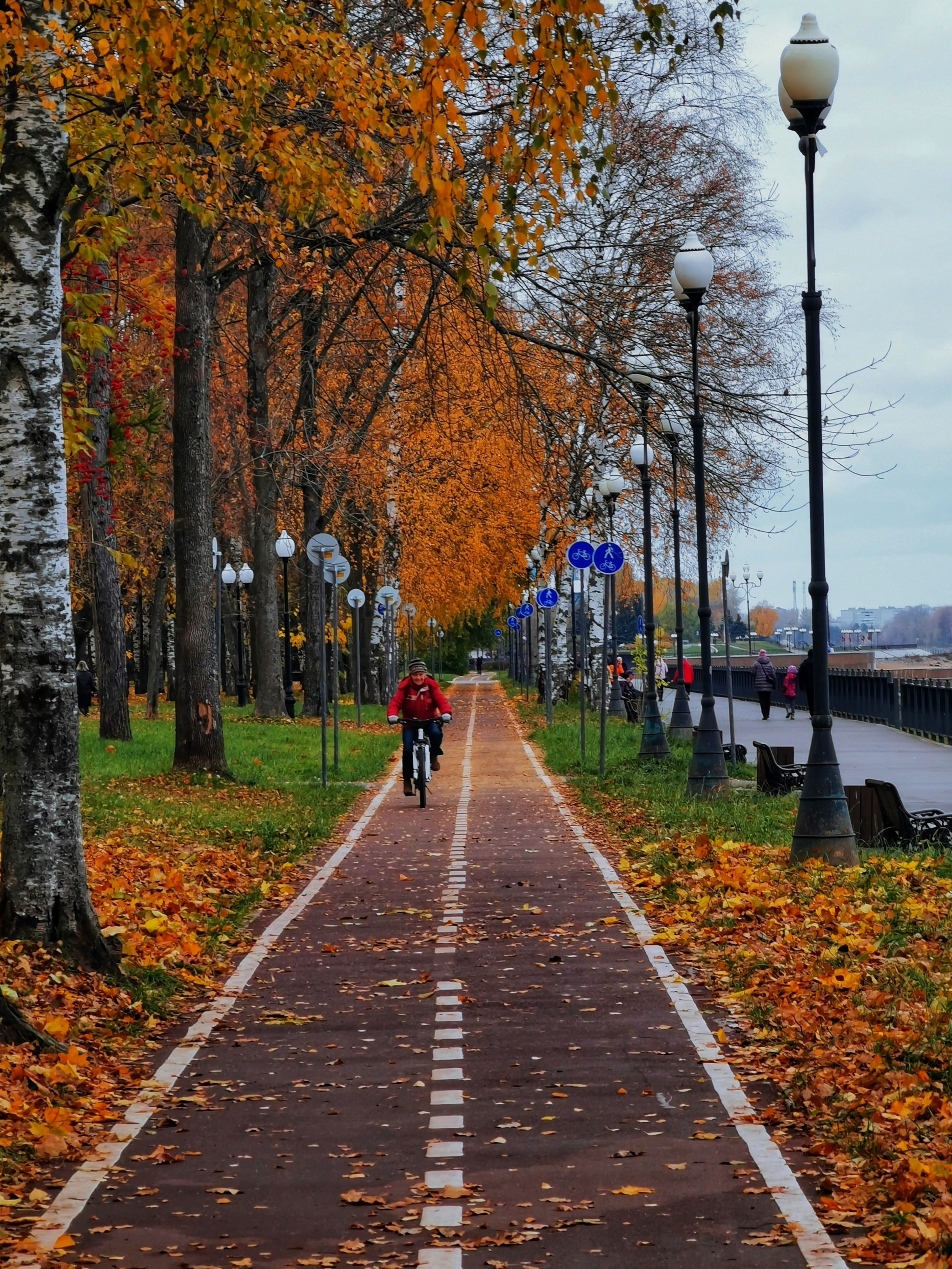 Bike path. Autumn - My, Mobile photography, Bike path, Autumn, Cyclist, Lamp