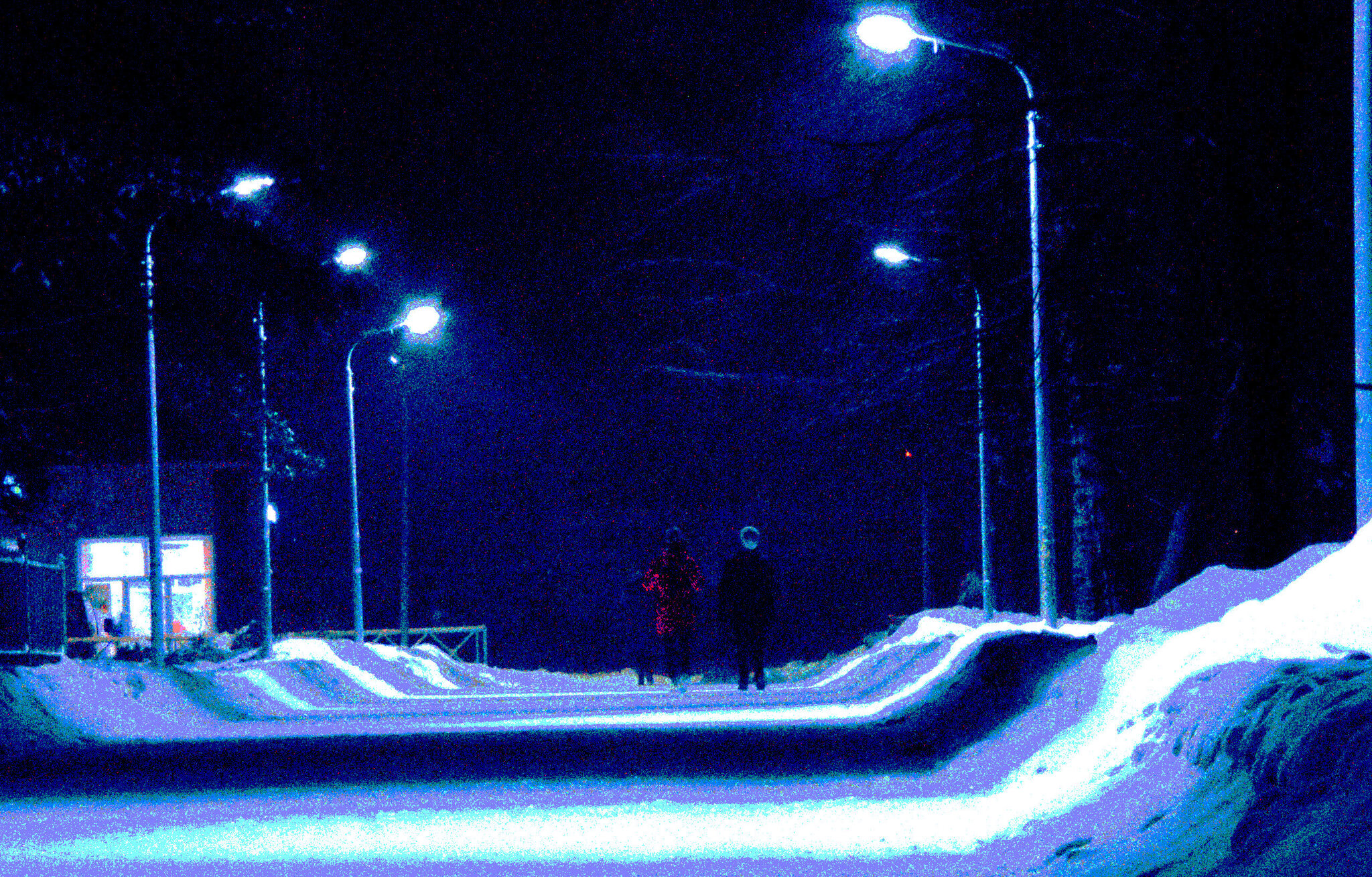 With a dog in the park through a blizzard - My, Landscape, Winter, Blizzard, The park, Walk, Pair, Dog, Poor quality, The photo