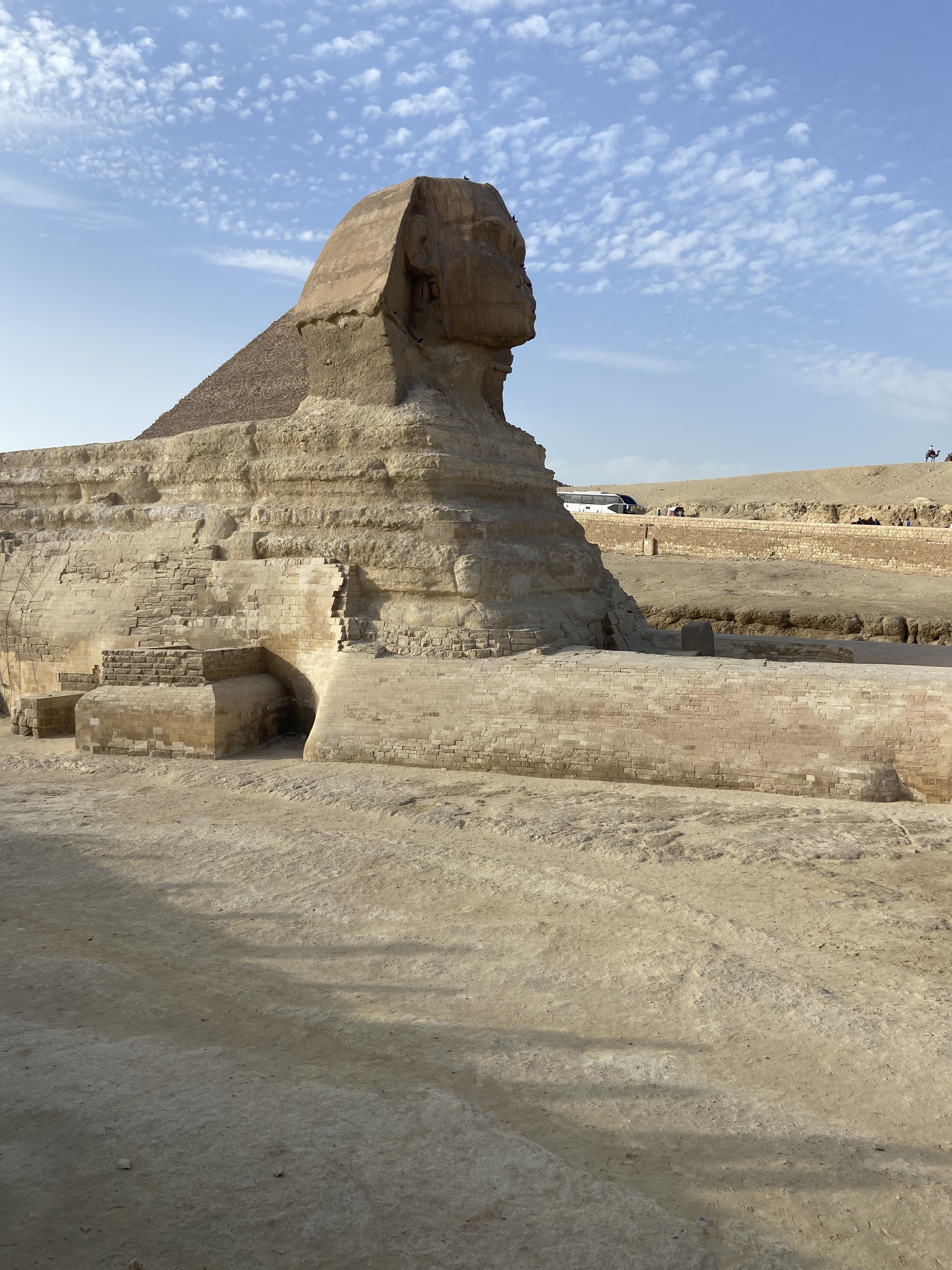 Great Sphinx, Egypt - My, Egypt, Travels, Sphinx, Giza, Miracle, The photo