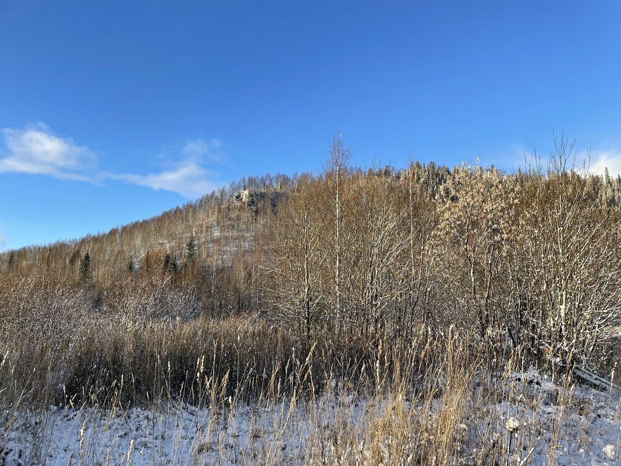 The beauty of the off-season - My, Ural, Nature, Jeeping, October, Longpost