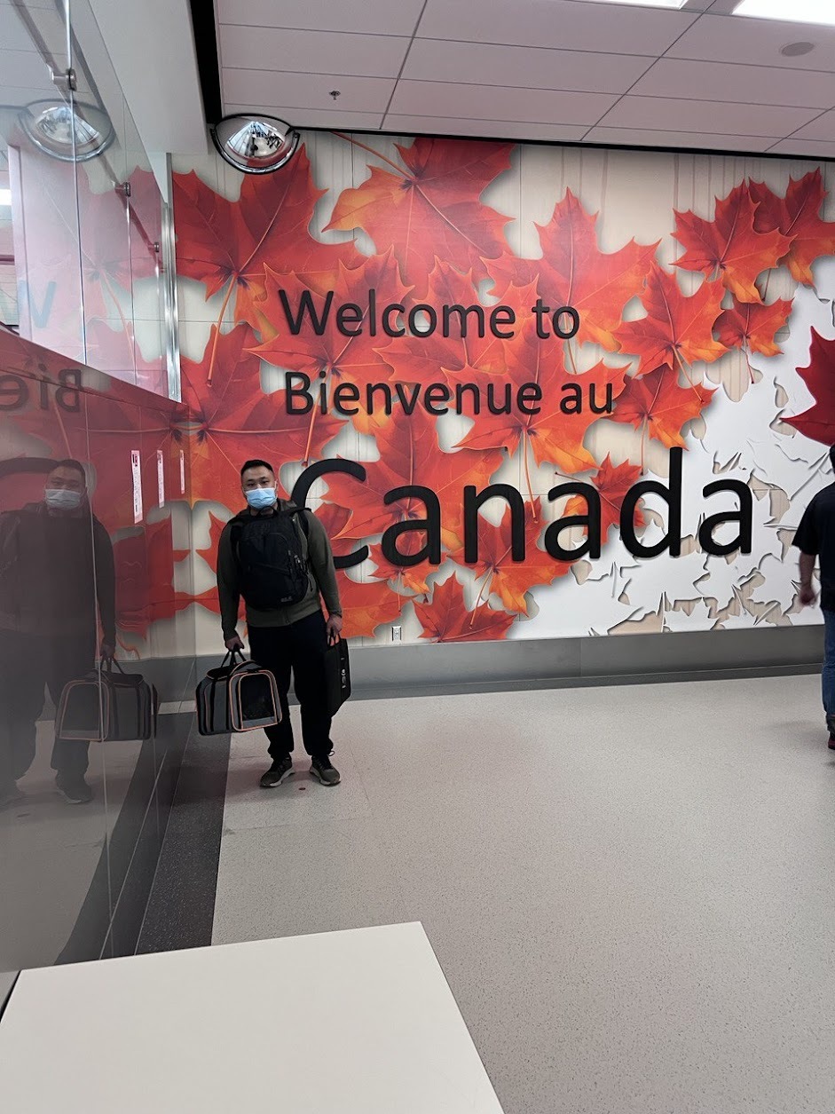 Flight and the first month of life in Canada. Calgary - My, Living abroad, Emigration, Relocation, Canada, Immigration, Flight, Calgary, Alberta, Permanent residence, Express Entry, Life stories, Ielts, North America, cat, Rental of property, Longpost