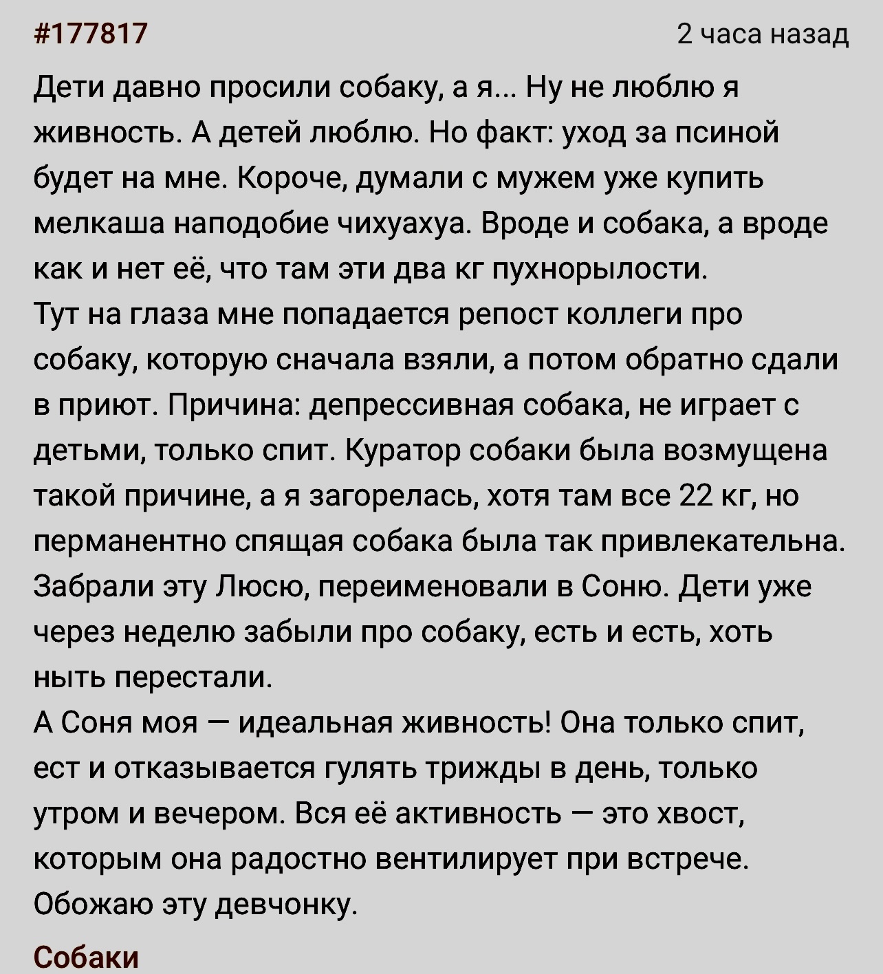 Повезло с Соней | Пикабу