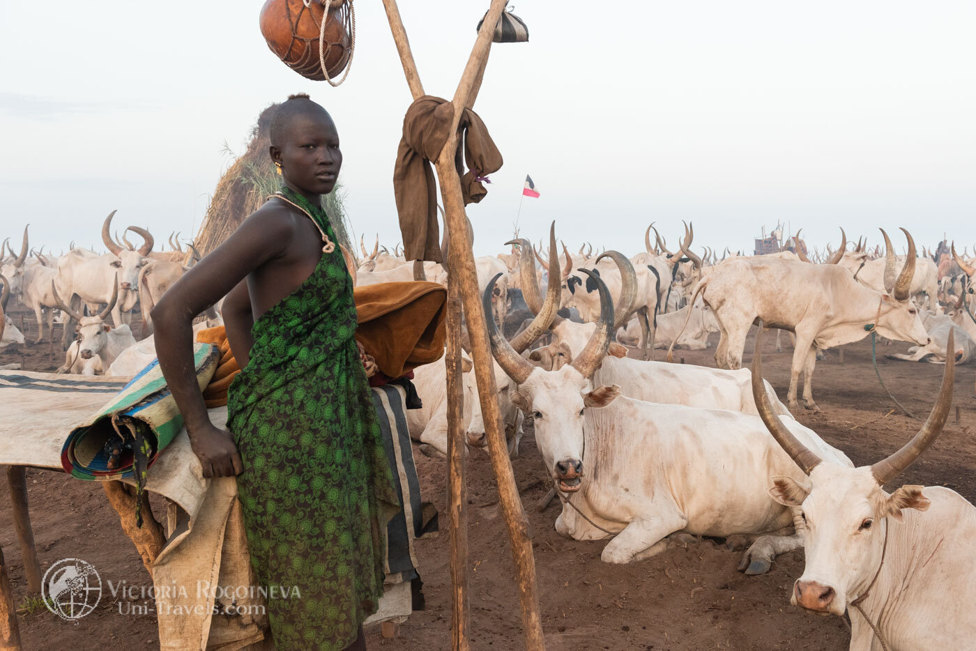 Wash with cow urine. Ritual of South Sudan - Video, With sound, Tribes, Ritual, Washing, Urine, South Sudan, Herd, Text, The photo, Longpost