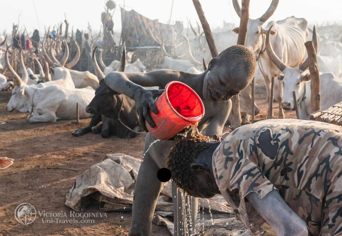 Wash with cow urine. Ritual of South Sudan - Video, With sound, Tribes, Ritual, Washing, Urine, South Sudan, Herd, Text, The photo, Longpost