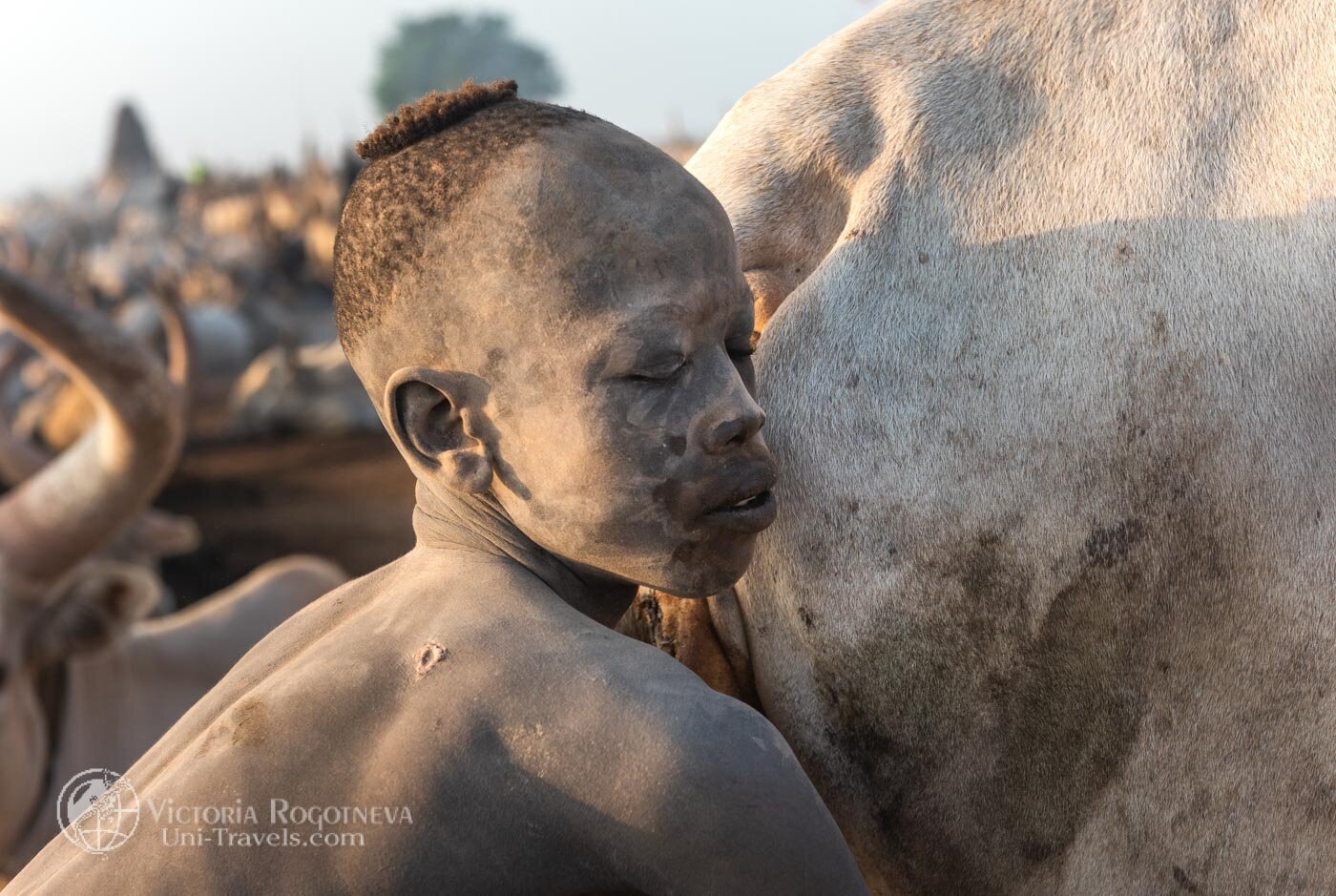 Wash with cow urine. Ritual of South Sudan - Video, With sound, Tribes, Ritual, Washing, Urine, South Sudan, Herd, Text, The photo, Longpost