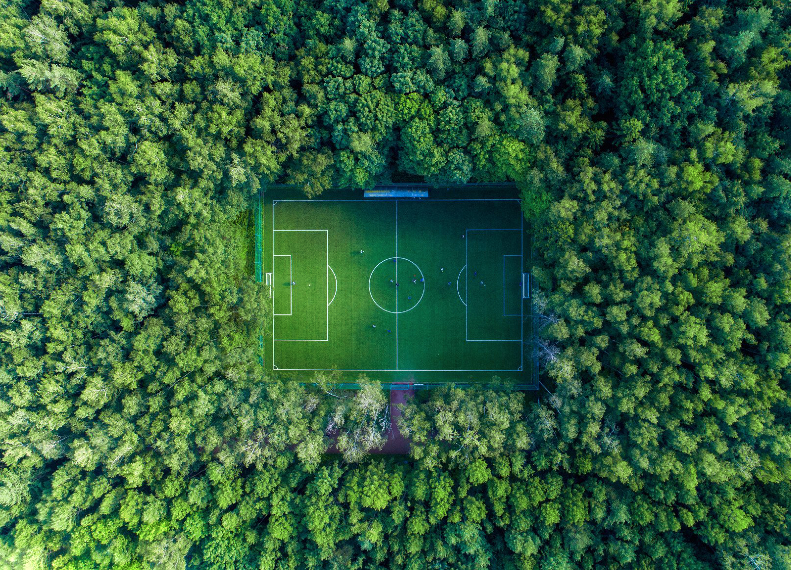 forest football - My, Nature, Forest, Football, View from above