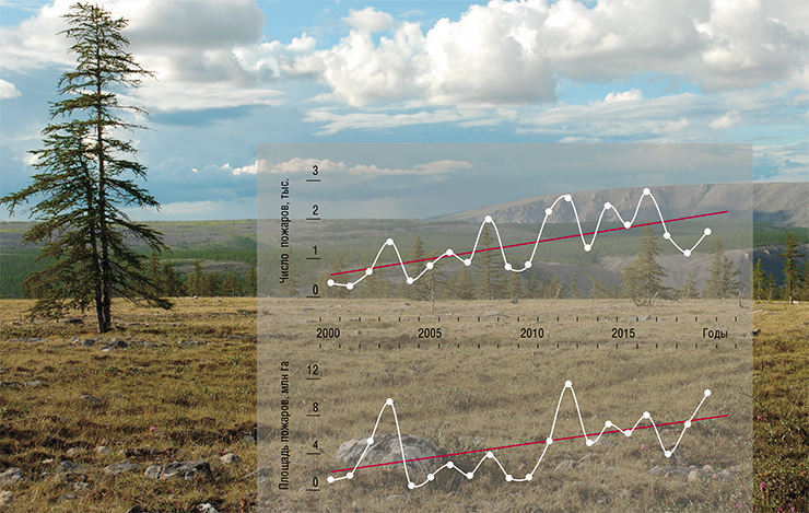 Fires and ashes in the Siberian taiga - Research, Ecology, The science, Forest, Forest fires, Longpost