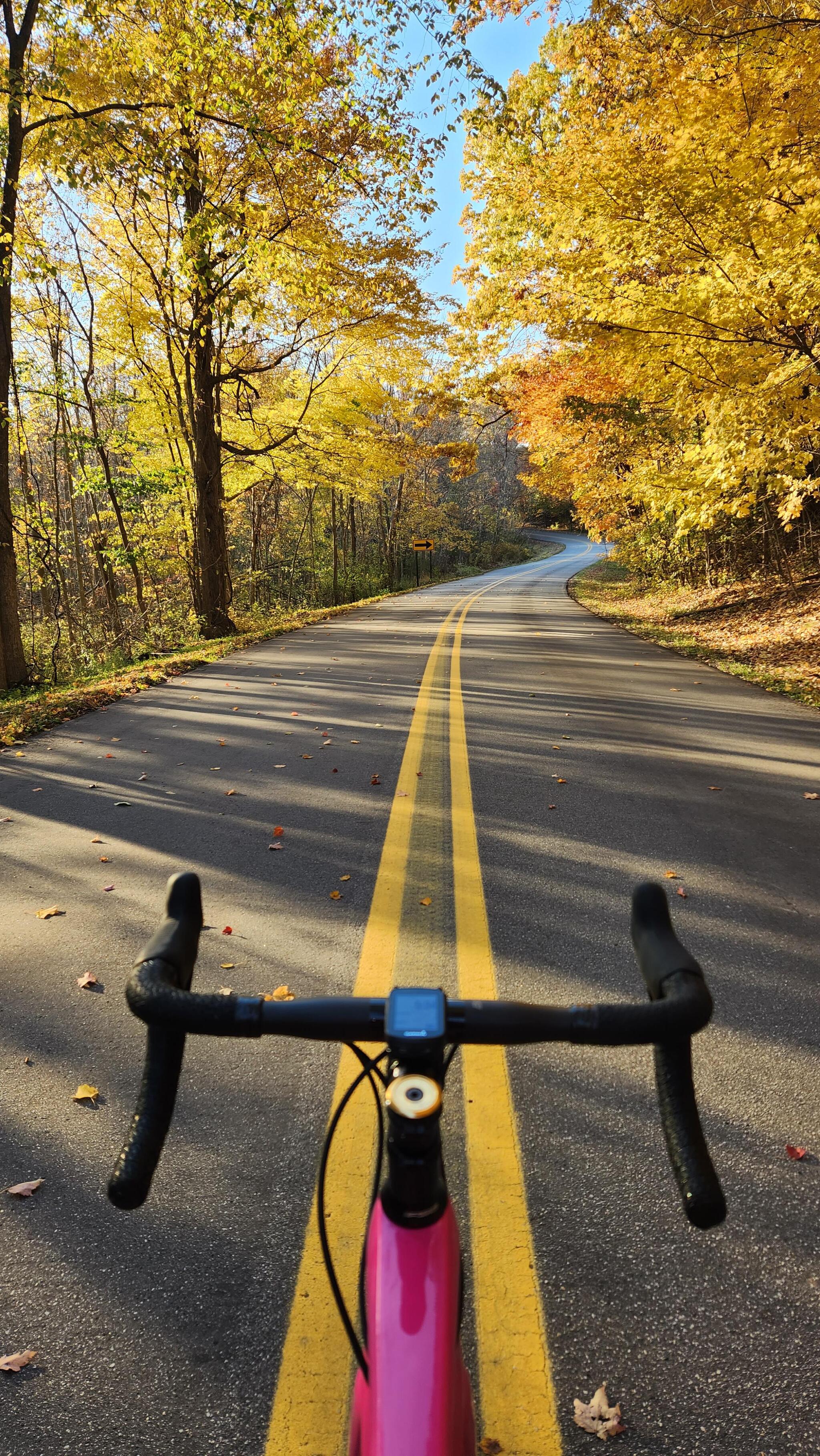 Fall has come - Autumn, Road, A bike, Nature, The photo