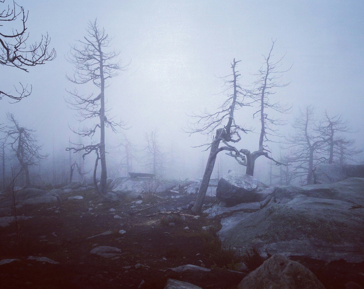 Mount Vottovaara in Karelia - like a picture from Skyrim - My, Travels, Туристы, Tourism, Travelers, Карелия, Vottovaara, Road trip, The photo, Mobile photography, Longpost