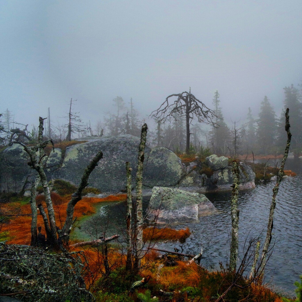 Mount Vottovaara in Karelia - like a picture from Skyrim - My, Travels, Туристы, Tourism, Travelers, Карелия, Vottovaara, Road trip, The photo, Mobile photography, Longpost