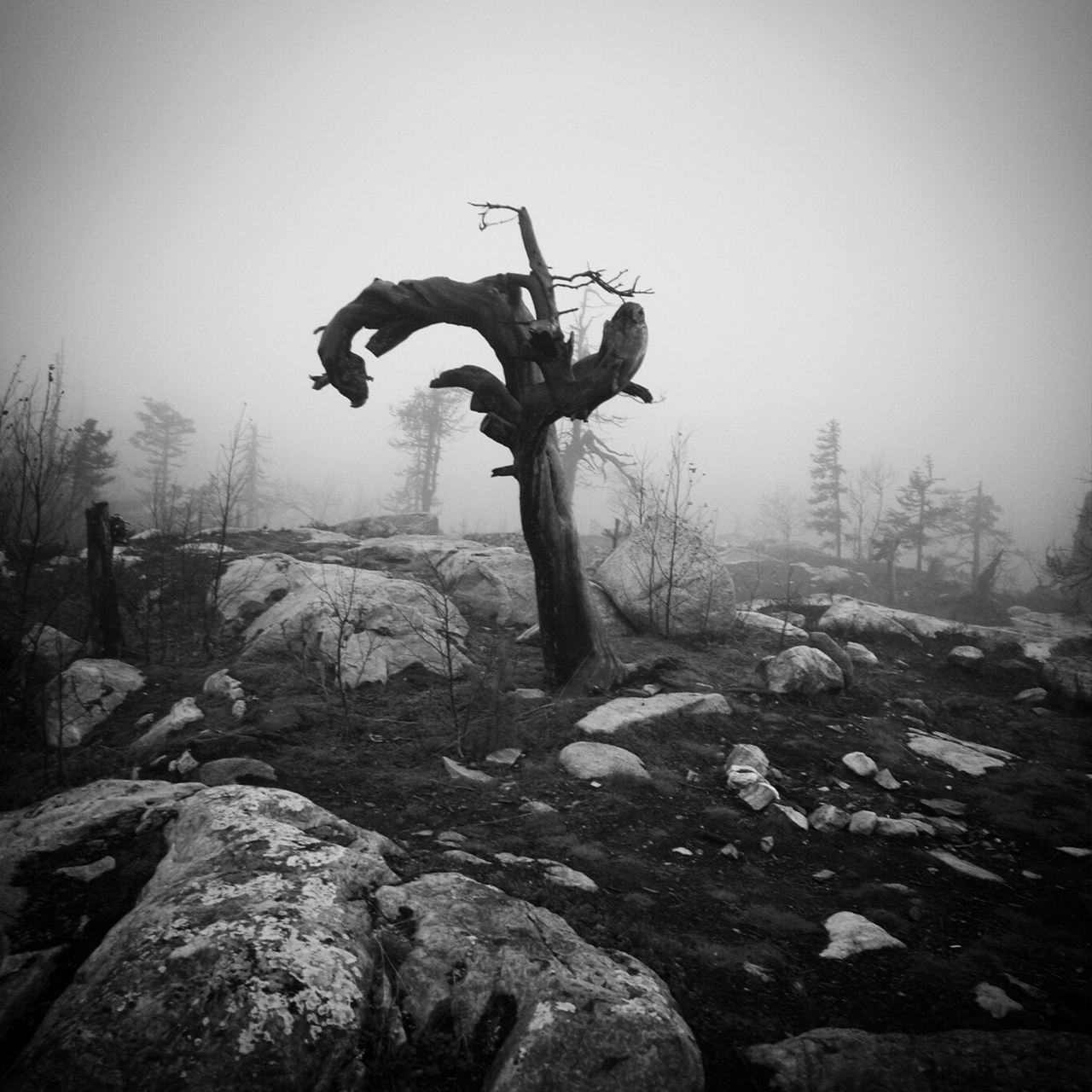 Mount Vottovaara in Karelia - like a picture from Skyrim - My, Travels, Туристы, Tourism, Travelers, Карелия, Vottovaara, Road trip, The photo, Mobile photography, Longpost