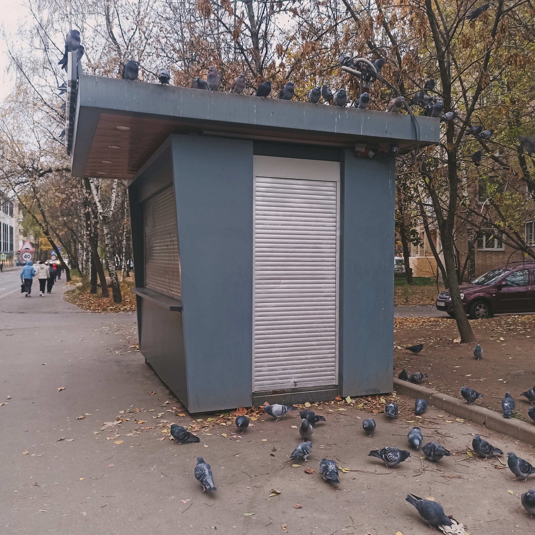 Планерка - Моё, Московский, Голубь, Заседание