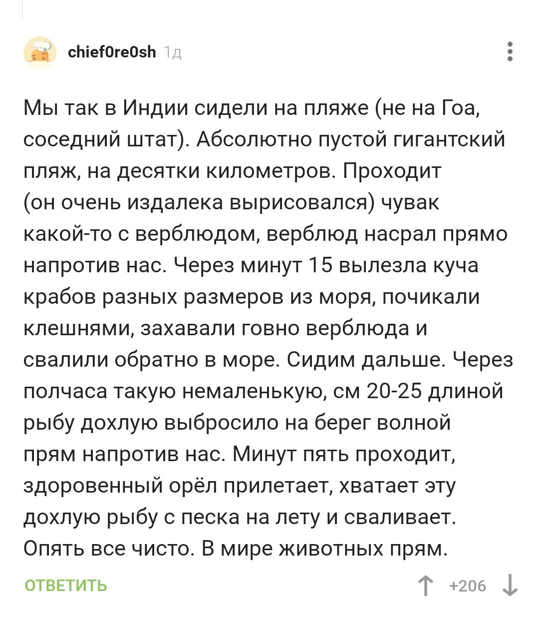 Если ты один. Ты не один. Ауф - Юмор, Скриншот, Комментарии на Пикабу, Фекалии, Длиннопост