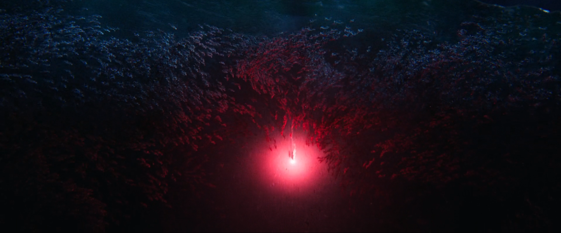 Beautiful shots from a good movie. Who can guess the movie? - My, Movies, guess, A fish, Light, Red light, Ocean