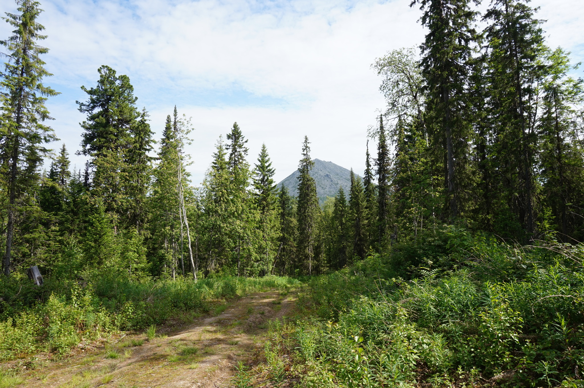 One of my best DR - My, Vishera, Krasnovishersk, Mountain tourism, Hike, Perm Territory, Longpost, The photo