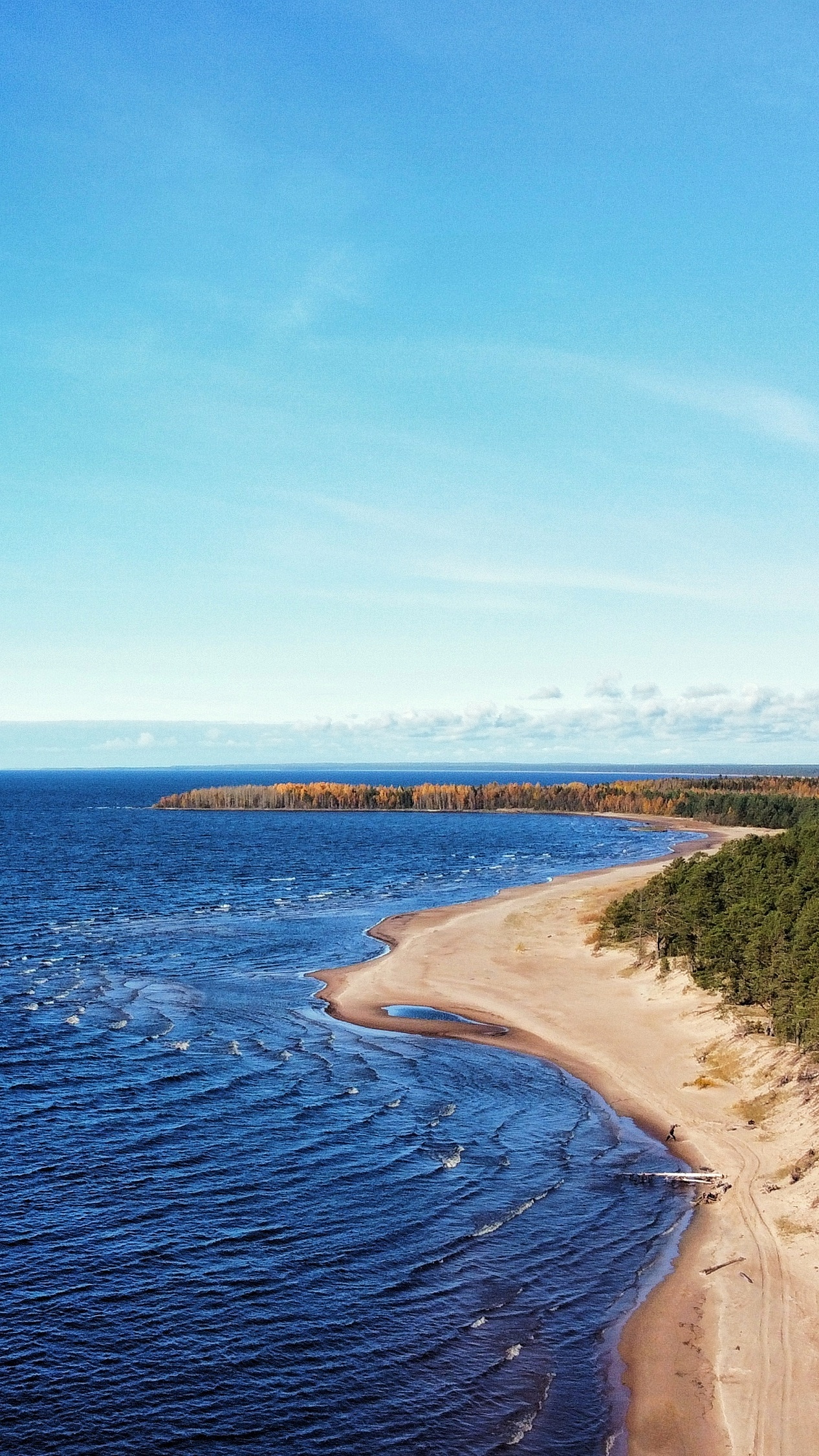 Beach on Ladoga - My, Russia, The photo, Quadcopter, Aerial photography, Landscape, Lake, Ladoga lake, Beach, Autumn, Карелия, Travels, Travel across Russia