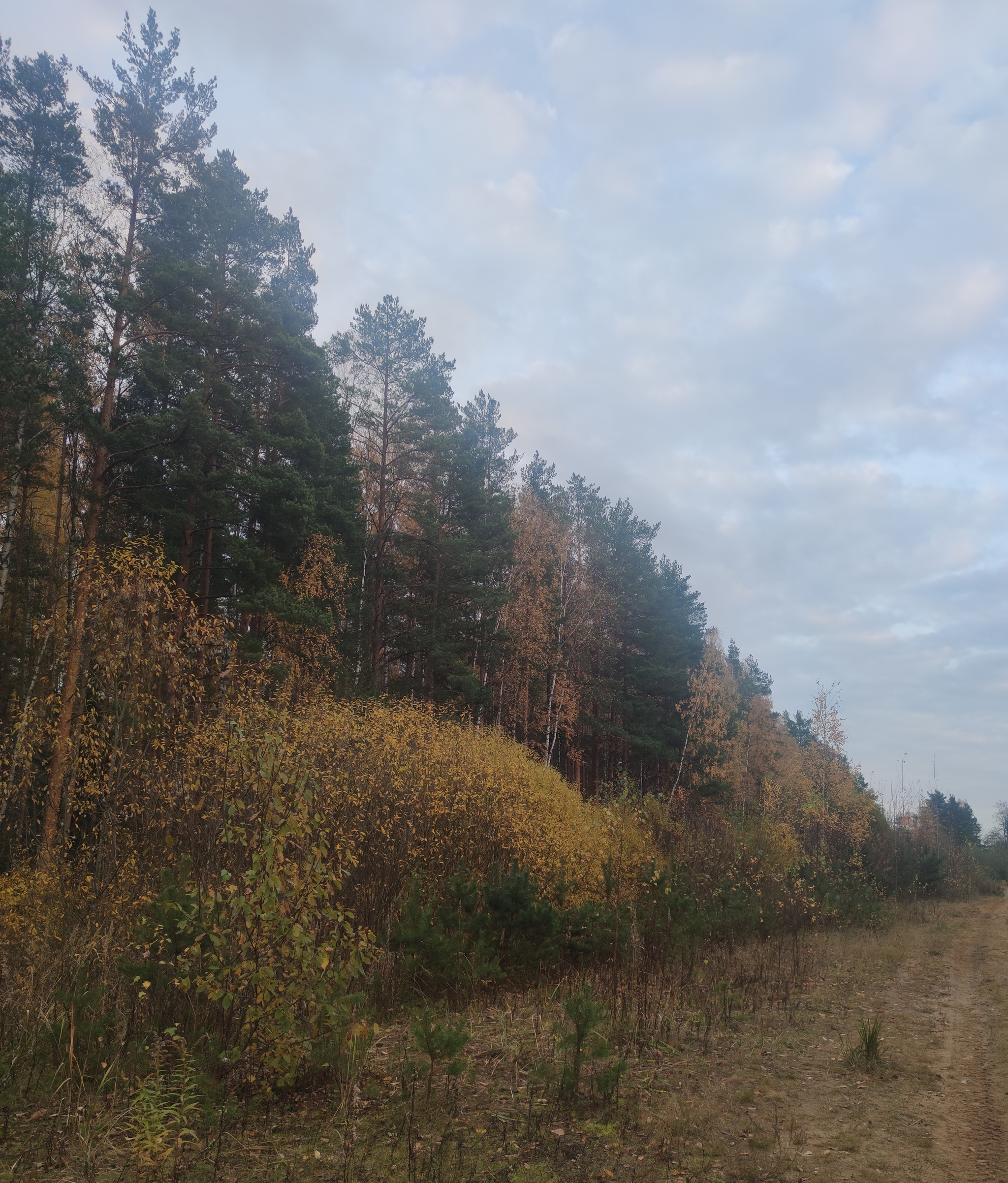 autumn photos - The photo, Autumn, Leningrad region, Longpost