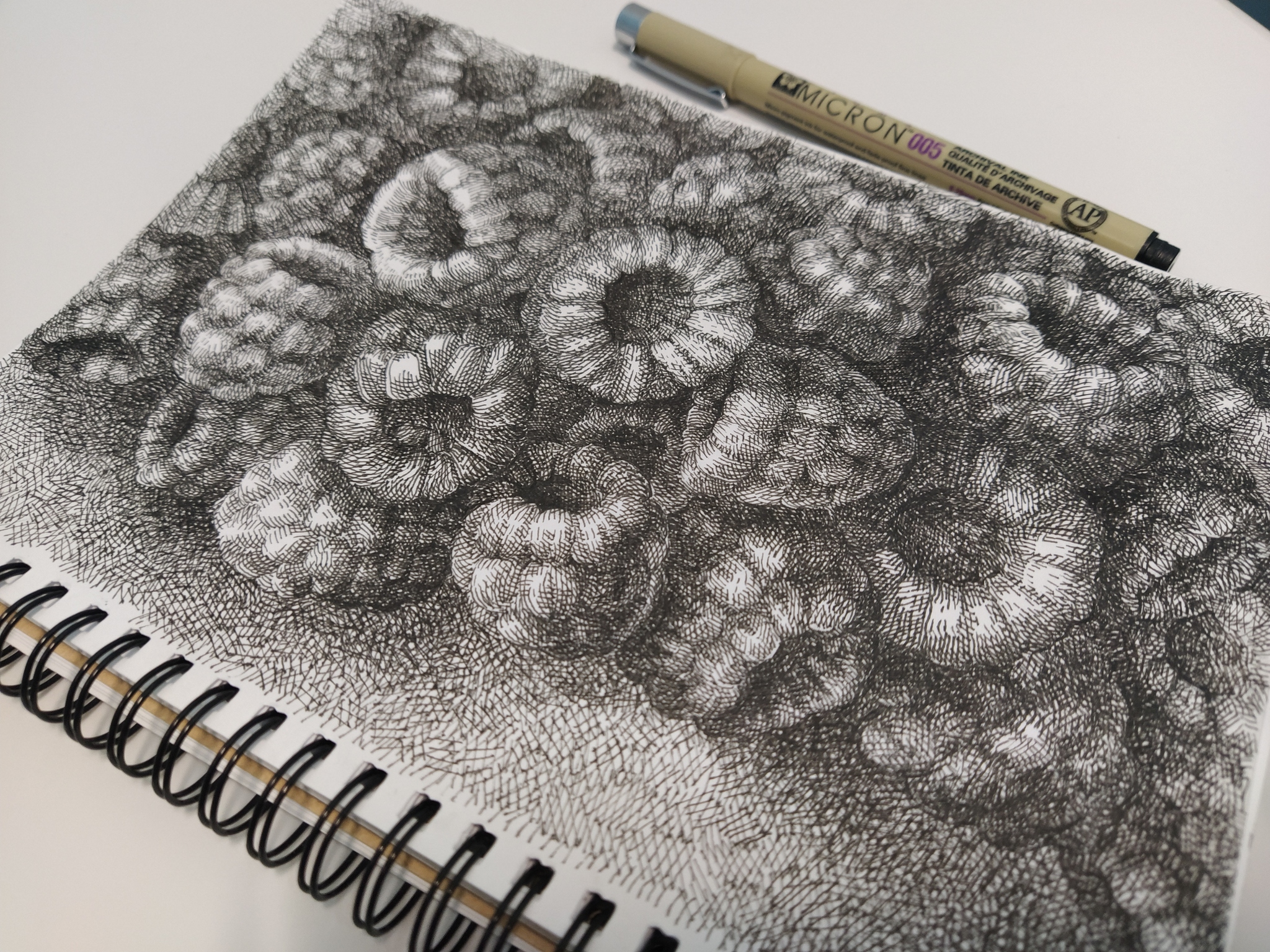 Malinka. Hatching, lots of hatching - My, Drawing, Art, Sketch, Sketch, Still life, Raspberries, Longpost