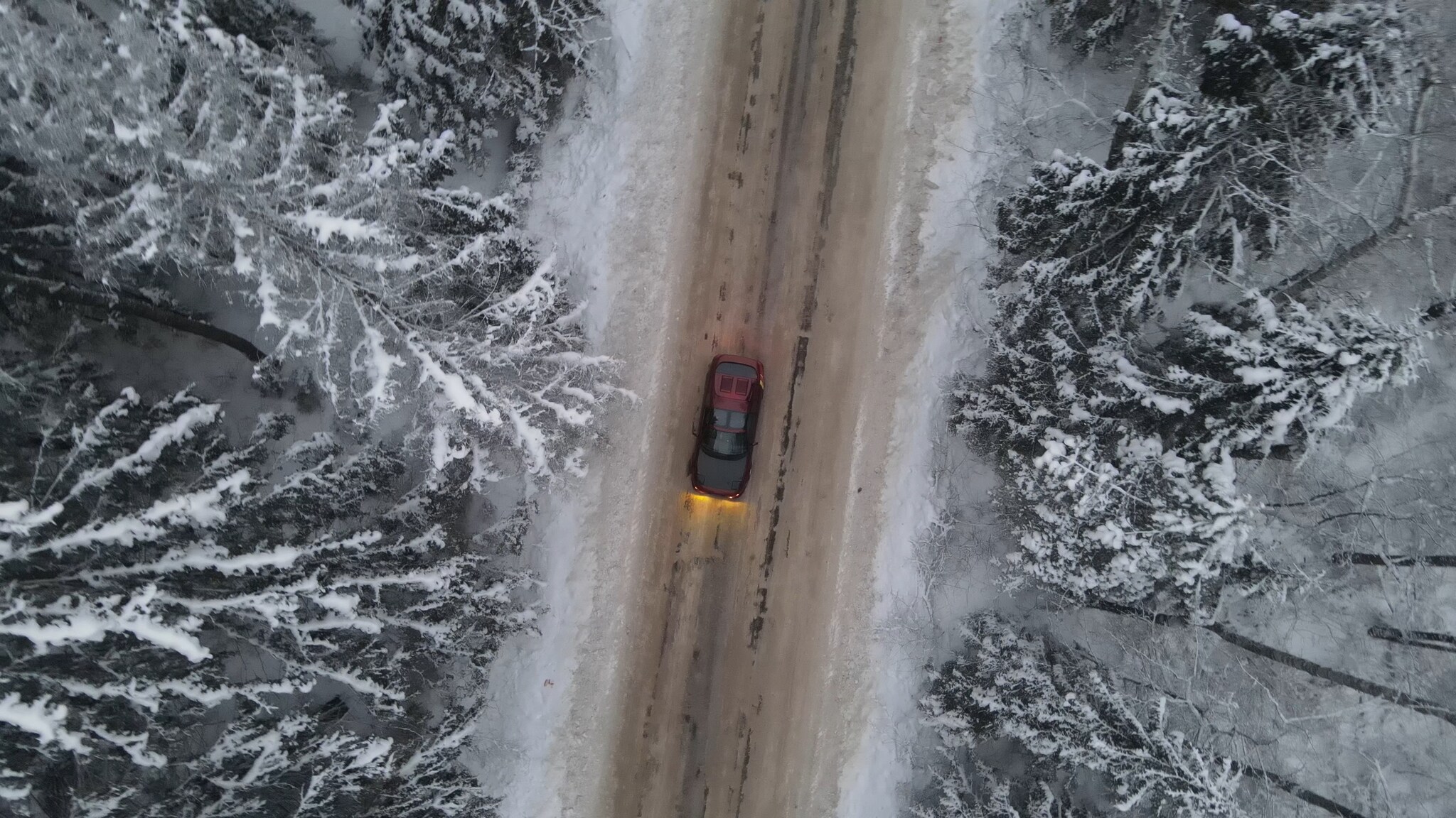 Toyota MR2 in winter forest - My, Toyota mr2, Forest, Aerial photography, Drone, Quadcopter, Dji, View from above