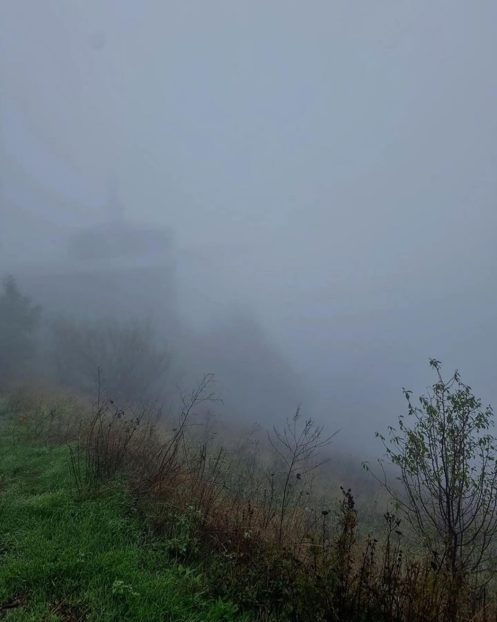 Foggy morning on Mashuk - The photo, Caucasus, Fog, Forest, Travels, Russia