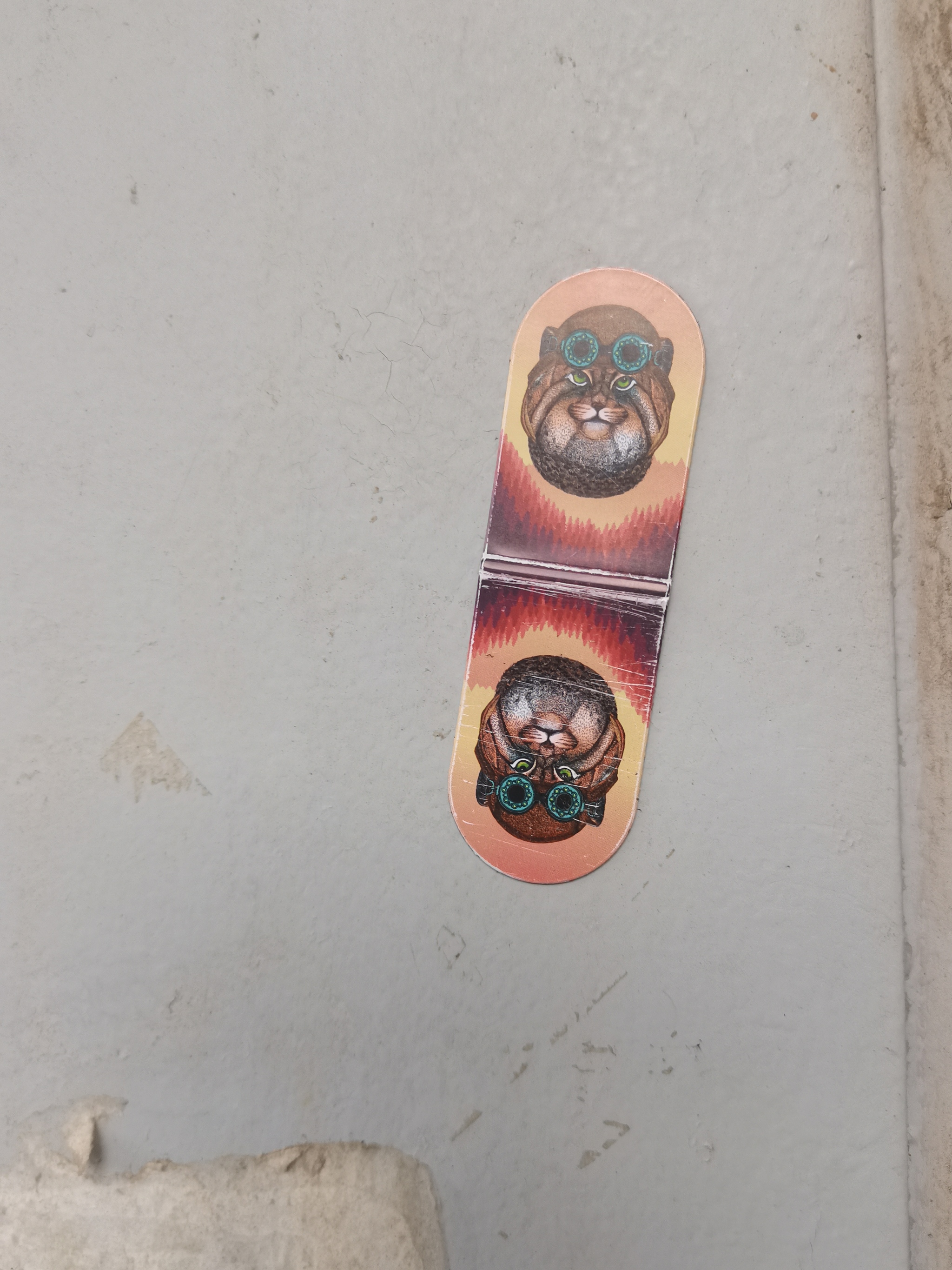 Потеряшка | Пикабу