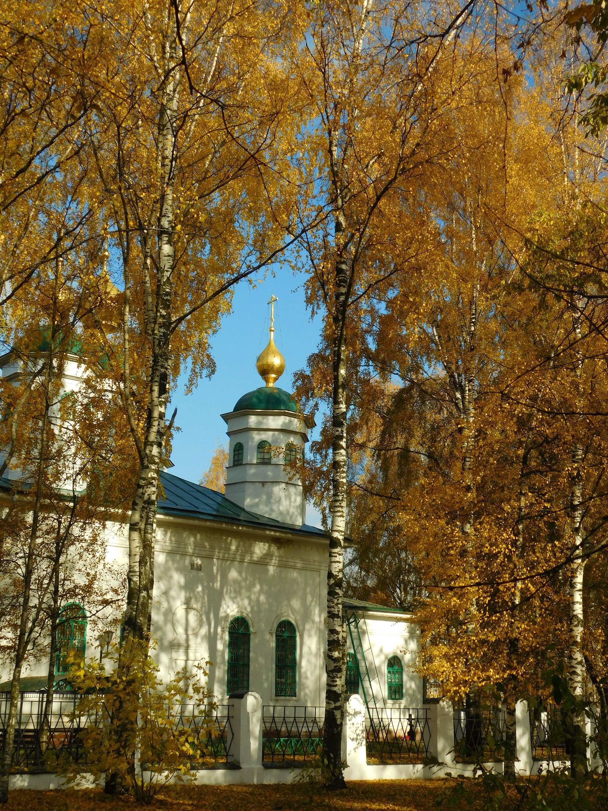 Золотая осень, золотые купола - Моё, Осень, Собор, Череповец, Фотография, Длиннопост