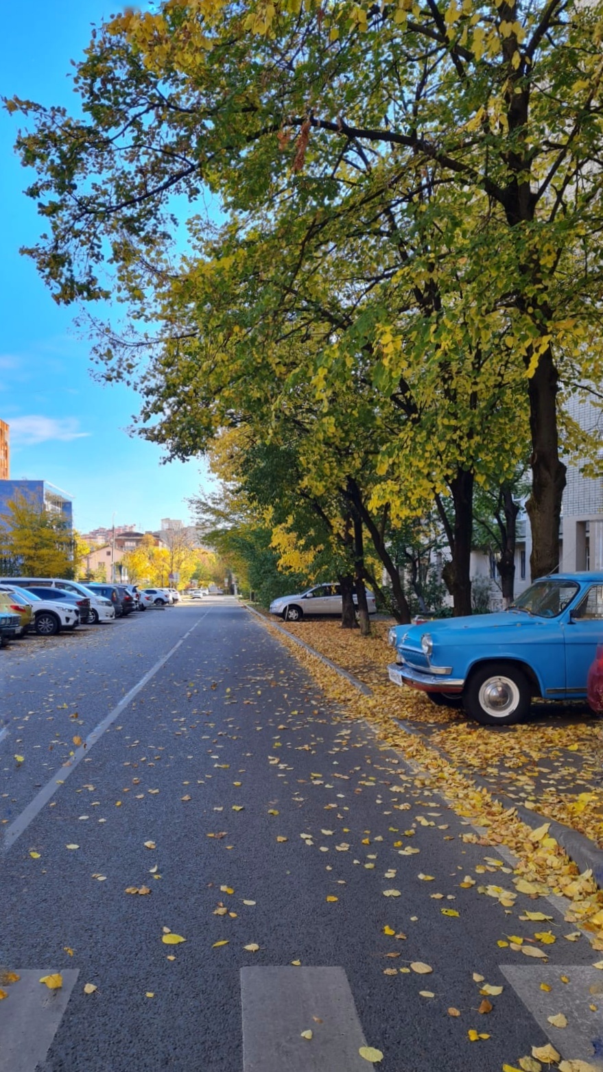 Autumn Krasnodar - My, Autumn, Krasnodar, Road, The photo