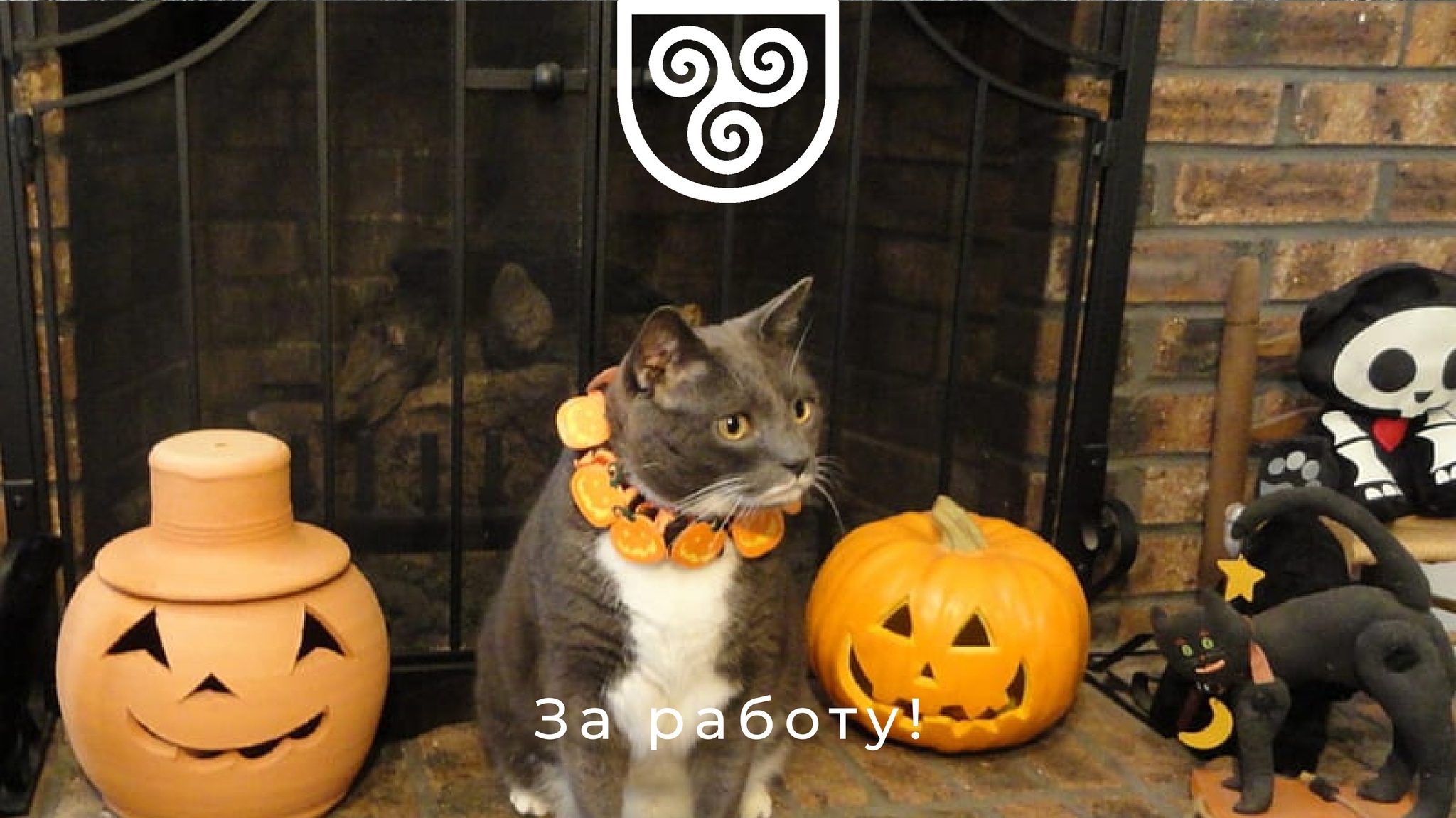 Irish holiday Sauna - My, Story, Ireland, Halloween, Longpost, cat