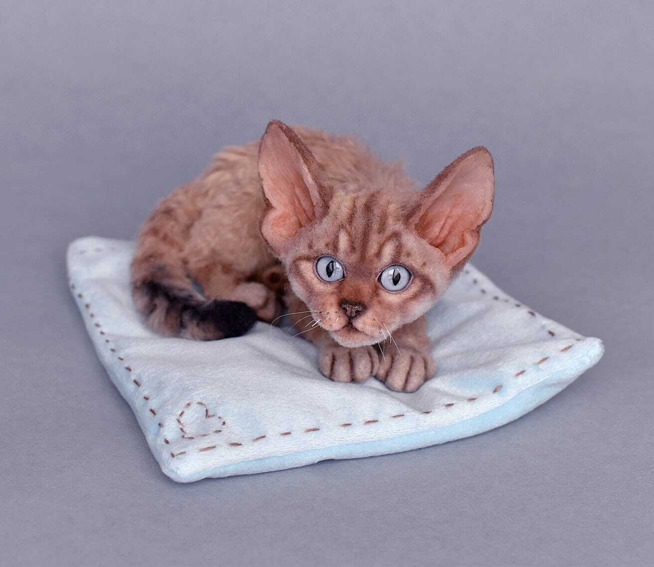 Life size Devon Rex kitten - My, Author's toy, Handmade, Friday tag is mine, Devon Rex, Kittens, Pet the cat, cat, Soft toy, Hobby, Interior toy, Frame toy, not a toy, Milota, Exotic animals, Pets, Dear friend, Joy, Animals, Portrait doll, Longpost