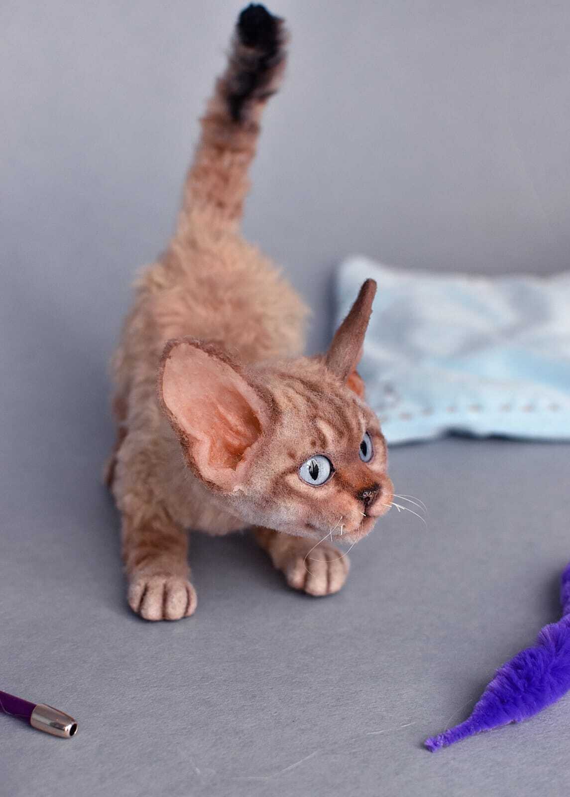 Life size Devon Rex kitten - My, Author's toy, Handmade, Friday tag is mine, Devon Rex, Kittens, Pet the cat, cat, Soft toy, Hobby, Interior toy, Frame toy, not a toy, Milota, Exotic animals, Pets, Dear friend, Joy, Animals, Portrait doll, Longpost