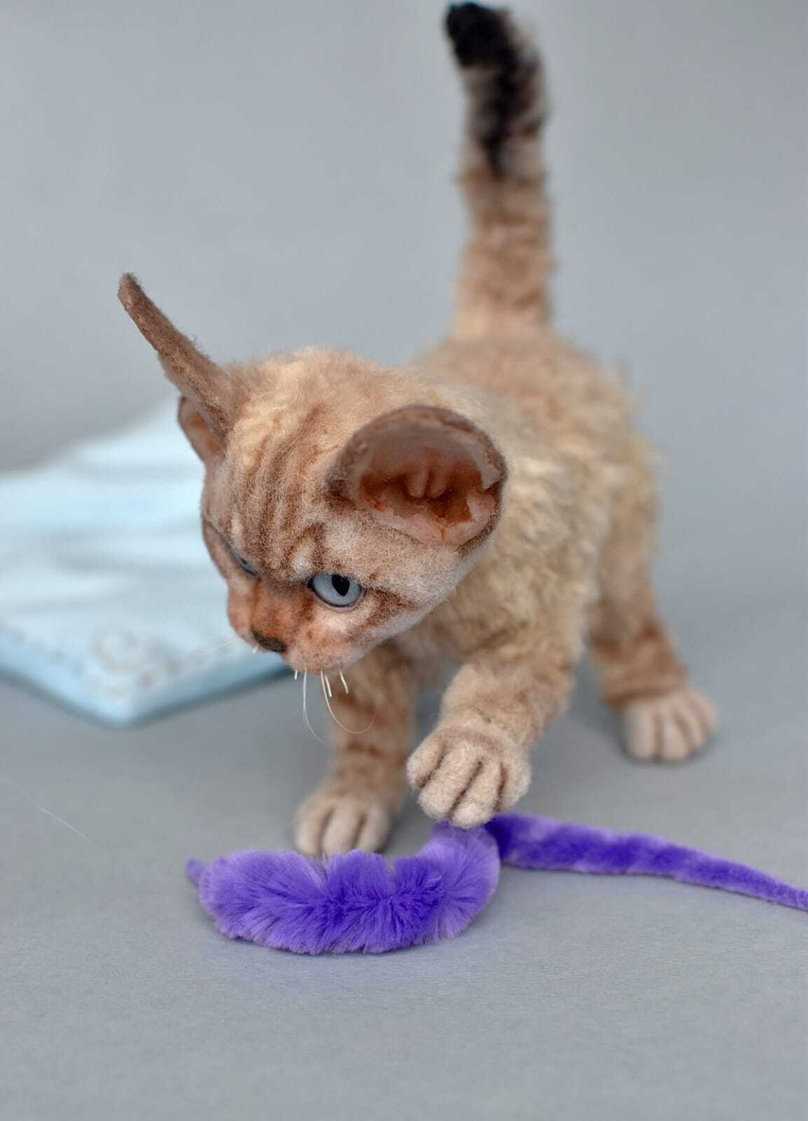 Life size Devon Rex kitten - My, Author's toy, Handmade, Friday tag is mine, Devon Rex, Kittens, Pet the cat, cat, Soft toy, Hobby, Interior toy, Frame toy, not a toy, Milota, Exotic animals, Pets, Dear friend, Joy, Animals, Portrait doll, Longpost