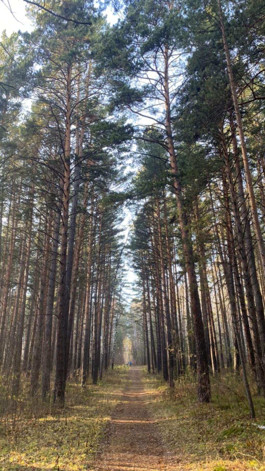 Гремячая грива г.Красноярск - Моё, Путешествие по России, Путешествия, Красивый вид, Красноярск, Природа, Видео, Без звука, Длиннопост