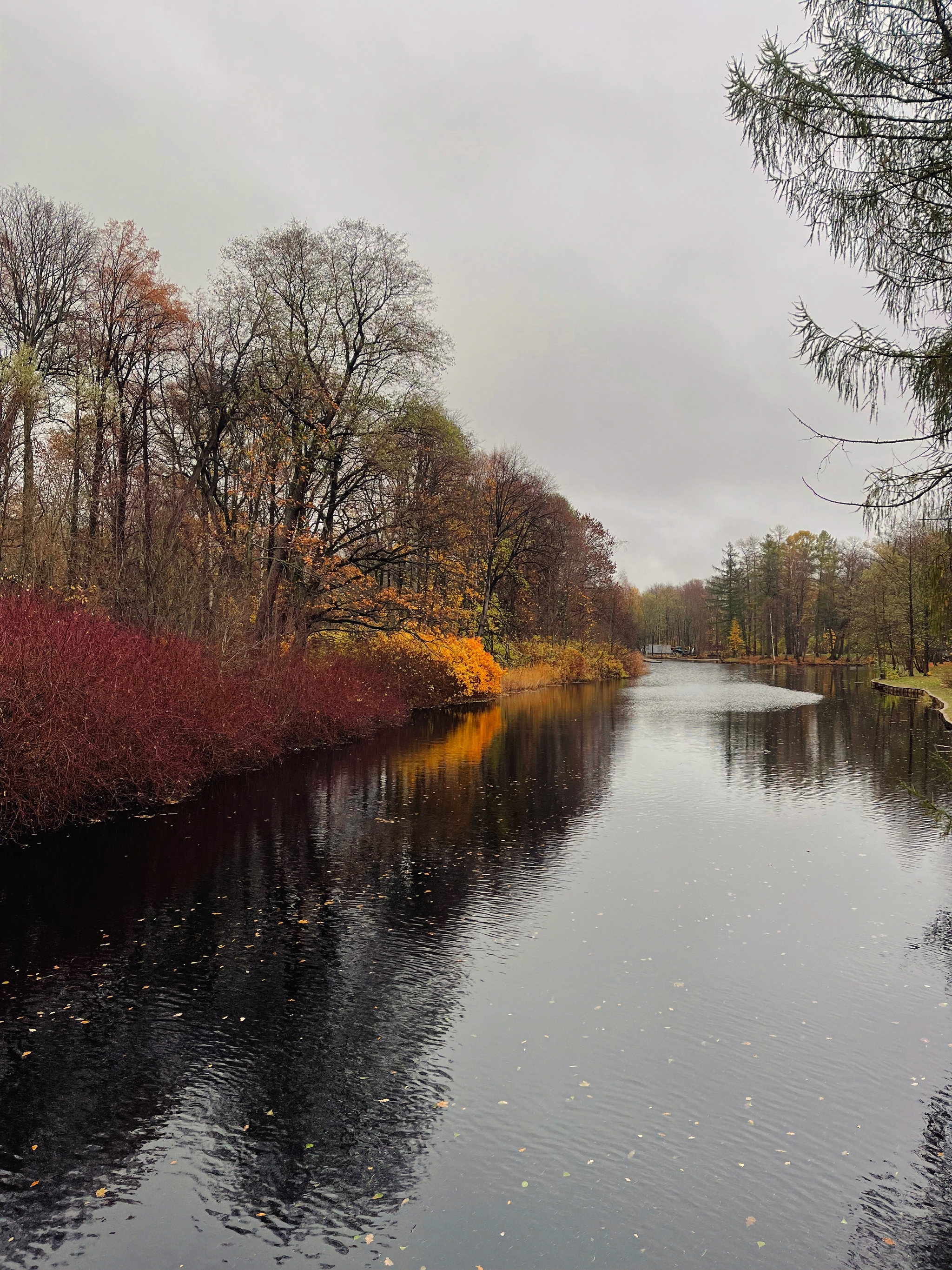 Autumn in St. Petersburg - My, Saint Petersburg, Autumn, Nature, City walk, Longpost, Elagin Island, Tree, Autumn leaves, Benches, Reflection