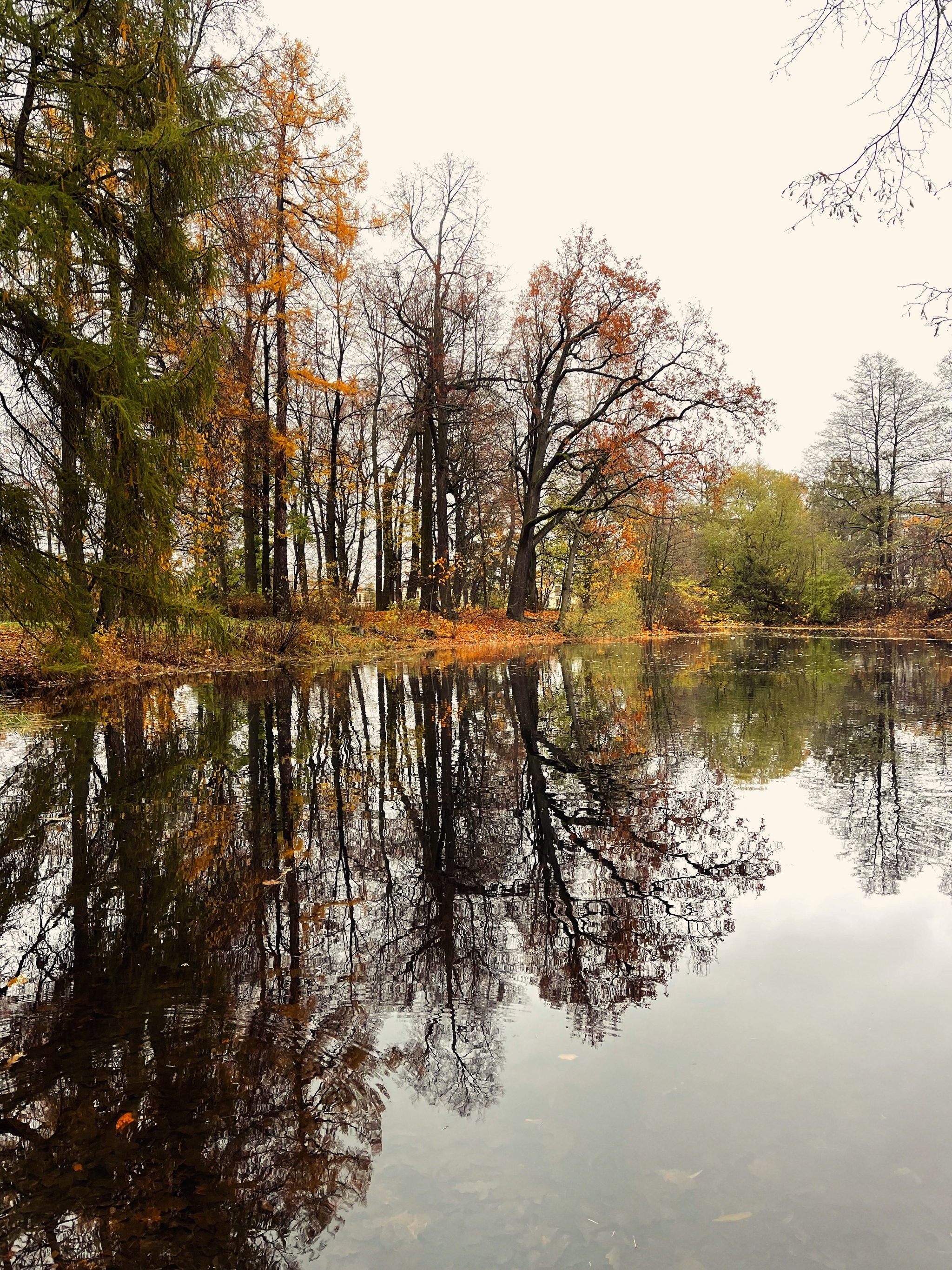 Autumn in St. Petersburg - My, Saint Petersburg, Autumn, Nature, City walk, Longpost, Elagin Island, Tree, Autumn leaves, Benches, Reflection