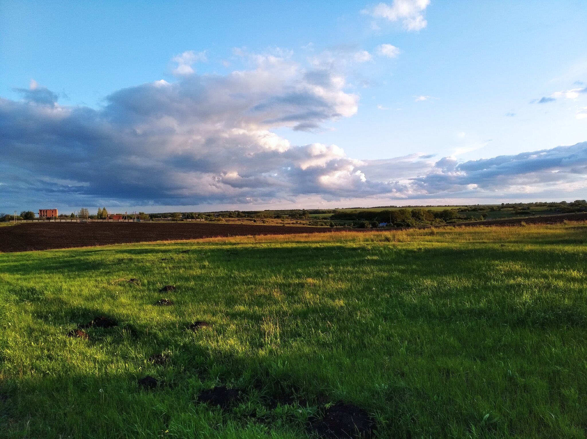 Поля Белгородской области | Пикабу