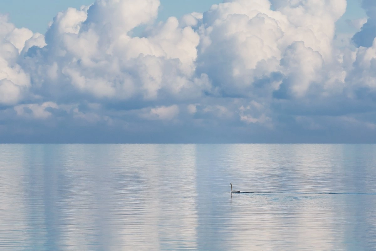 Contemplation - The photo, beauty, Russia, Sky, Clouds