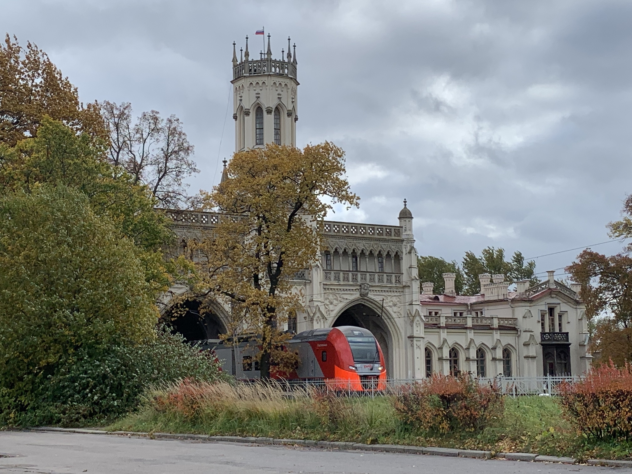 The swallow flies out of the nest - My, Train, Peterhof, Mobile photography, Photo on sneaker, Autumn, Stop a moment, beauty, Martin, Lastochka Train