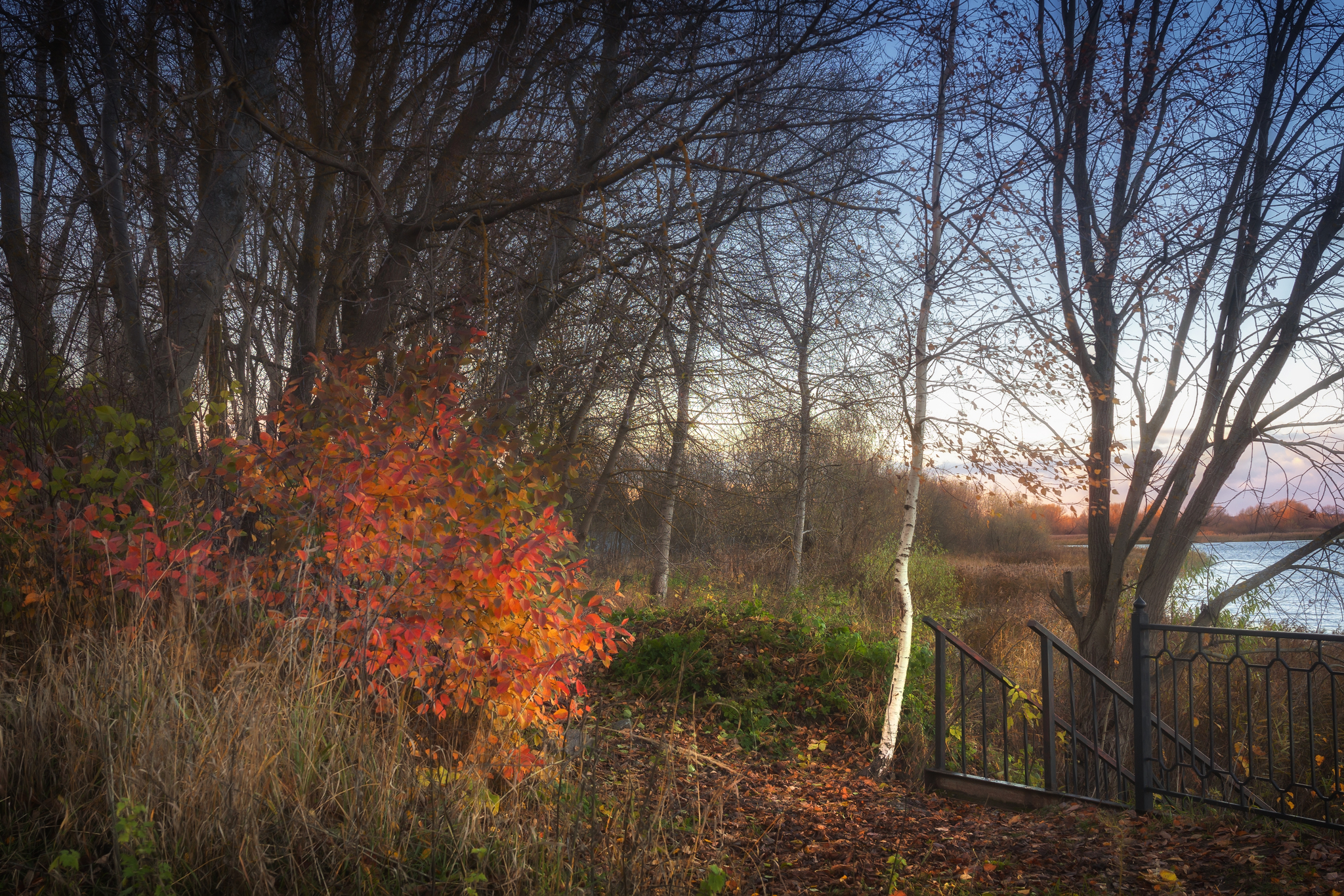 Autumn in Gorodnya, Tver region - My, The photo, Nature, Sky, River, Autumn