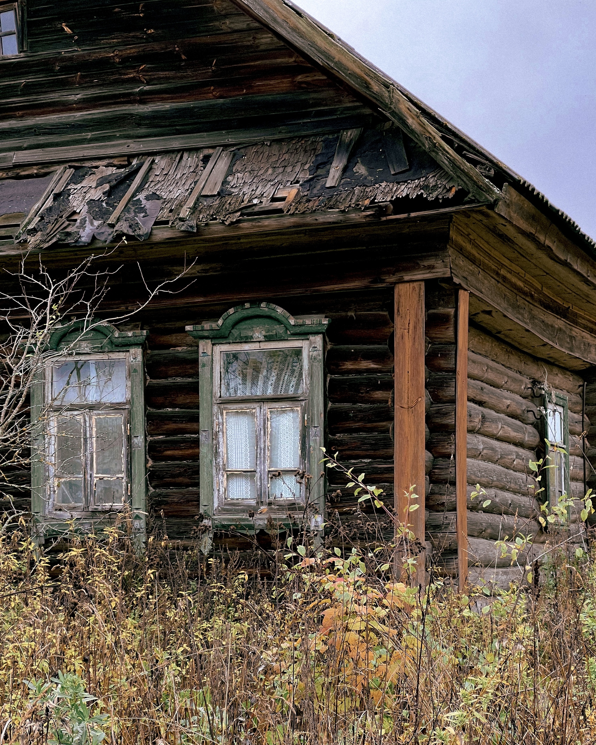 Rural ashes straight from the Tver region - Outskirts, Tver region, Village, House, Longpost, The photo, Izba, Tree house, Wooden house, Russia, Tourism, Travels, Travel across Russia, My