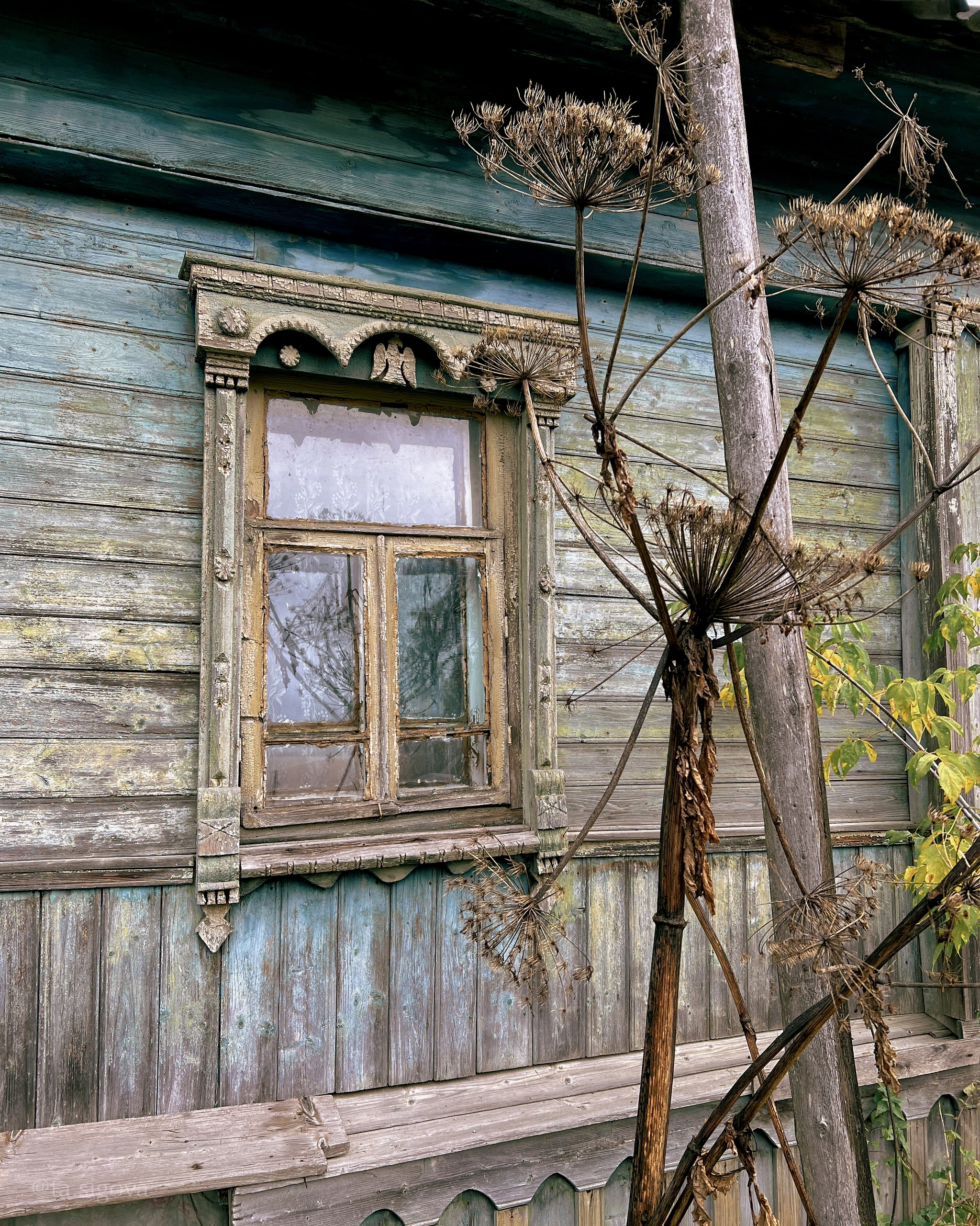 Rural ashes straight from the Tver region - Outskirts, Tver region, Village, House, Longpost, The photo, Izba, Tree house, Wooden house, Russia, Tourism, Travels, Travel across Russia, My