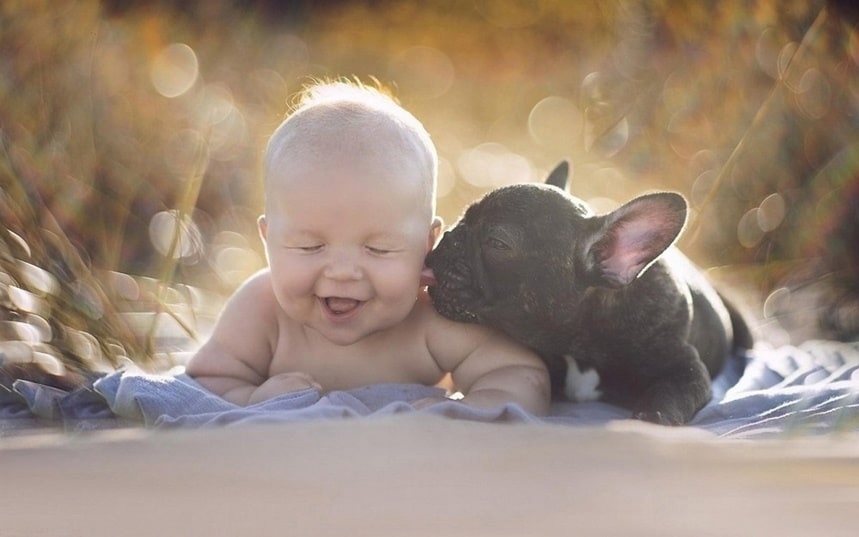 Friends for life - Dog, Children, Milota, Pets, The photo