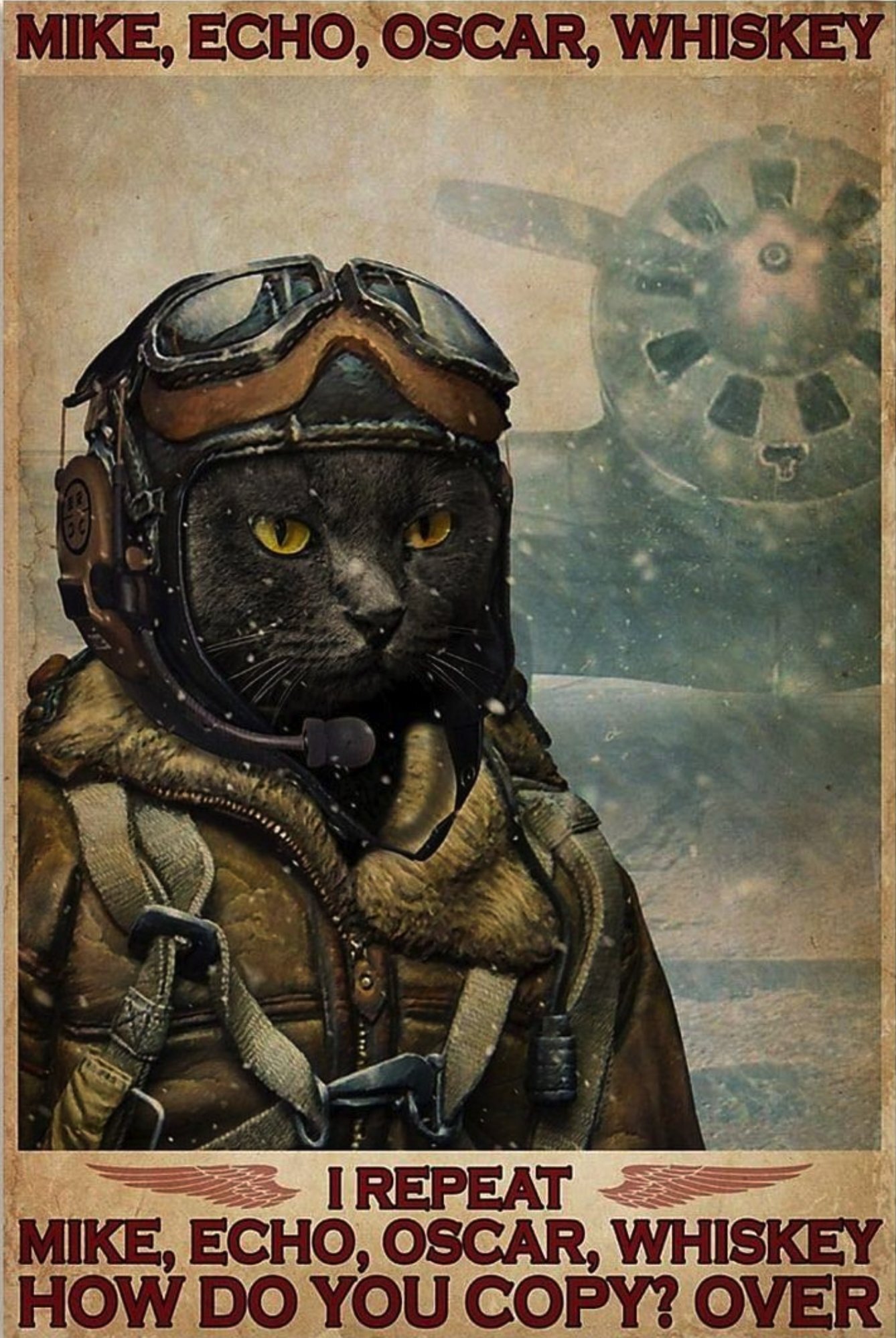 ace - cat, Pilots, Helmet, Poster, Picture with text